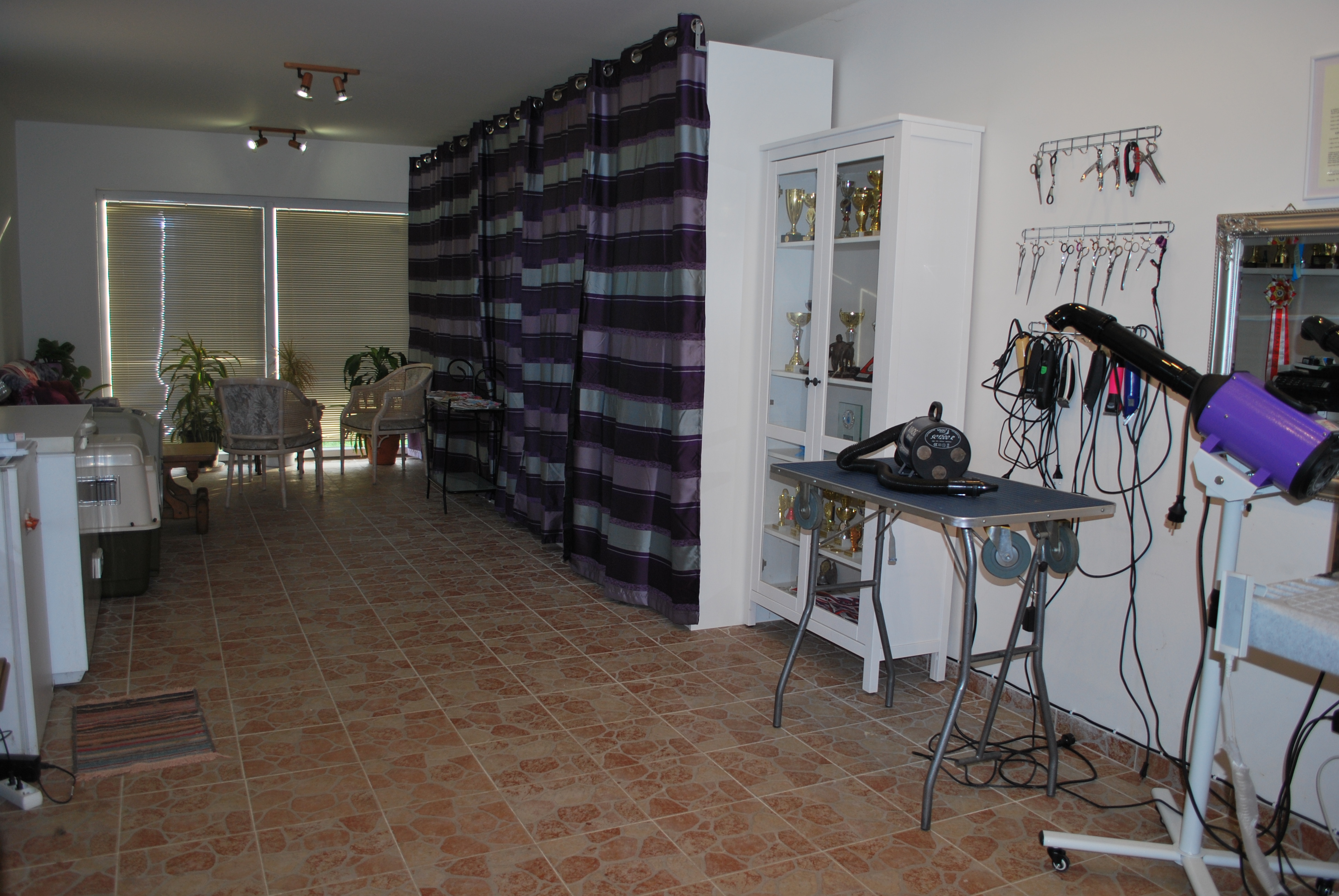 Psí salon Honey Rose - Jitka Buyens foto 4