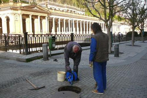 Deratizace Sochor foto 2