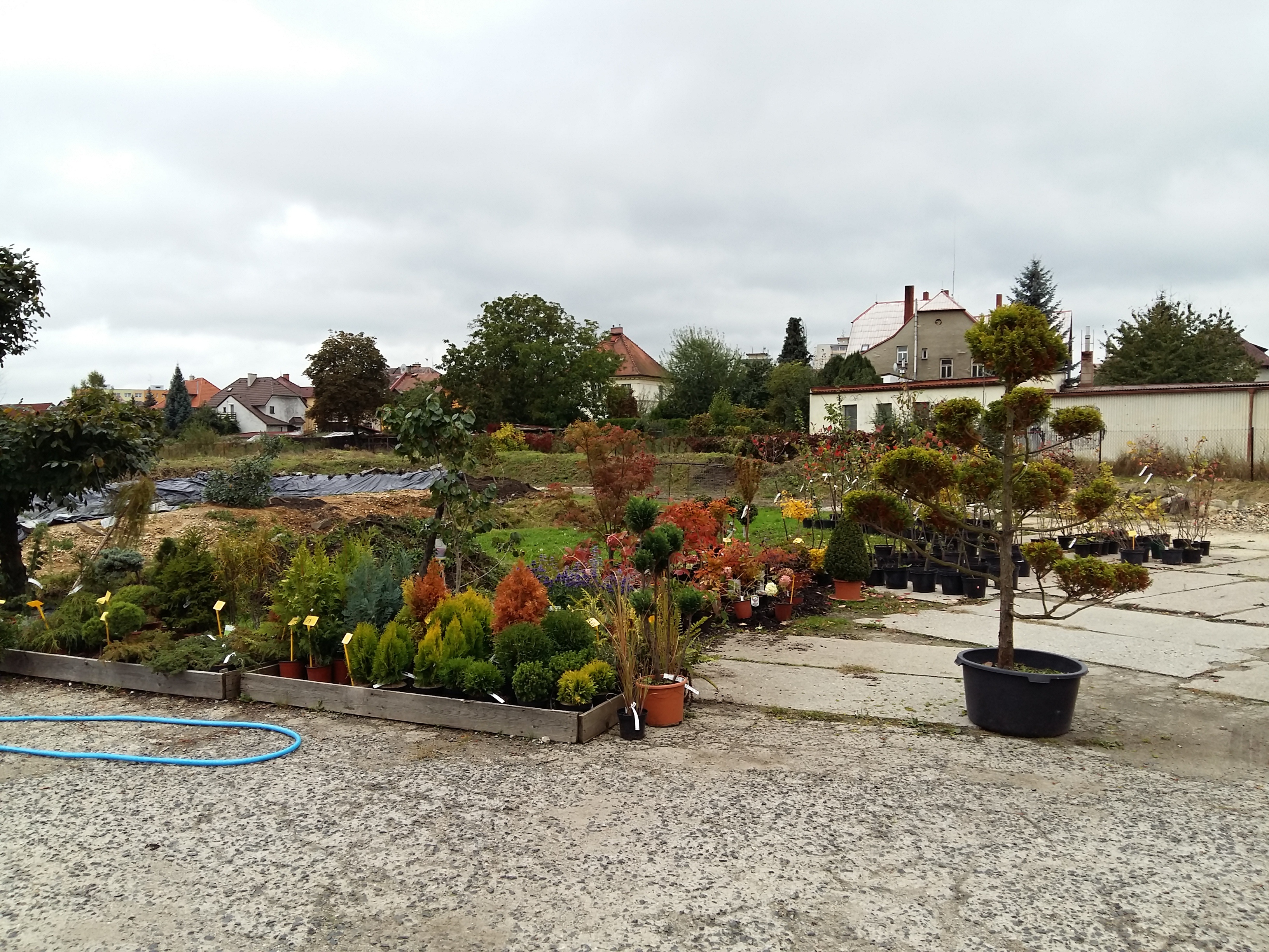 Zahradnictví U soudu - zahradní práce foto 2