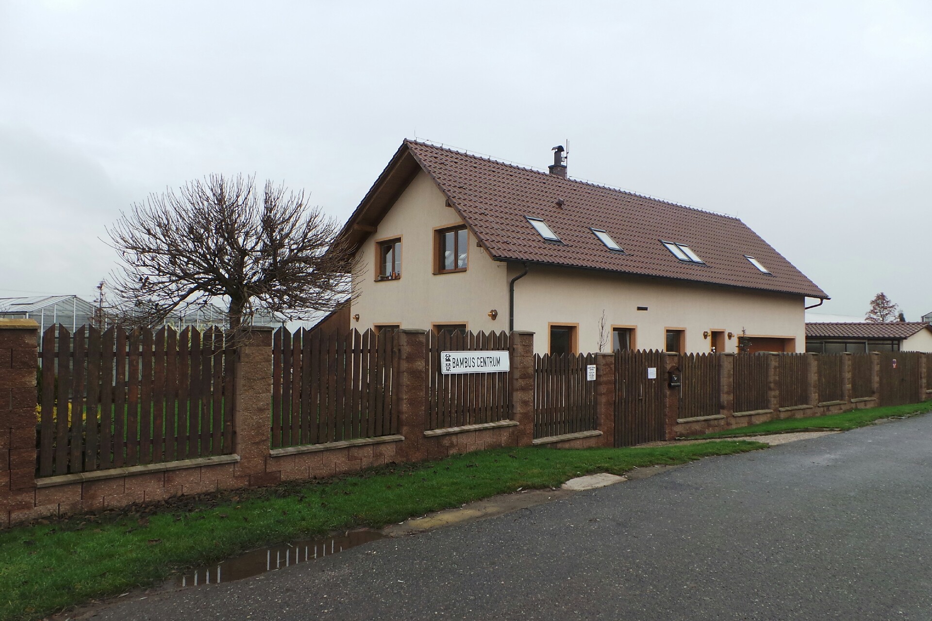 Bambus centrum Kastner foto 2