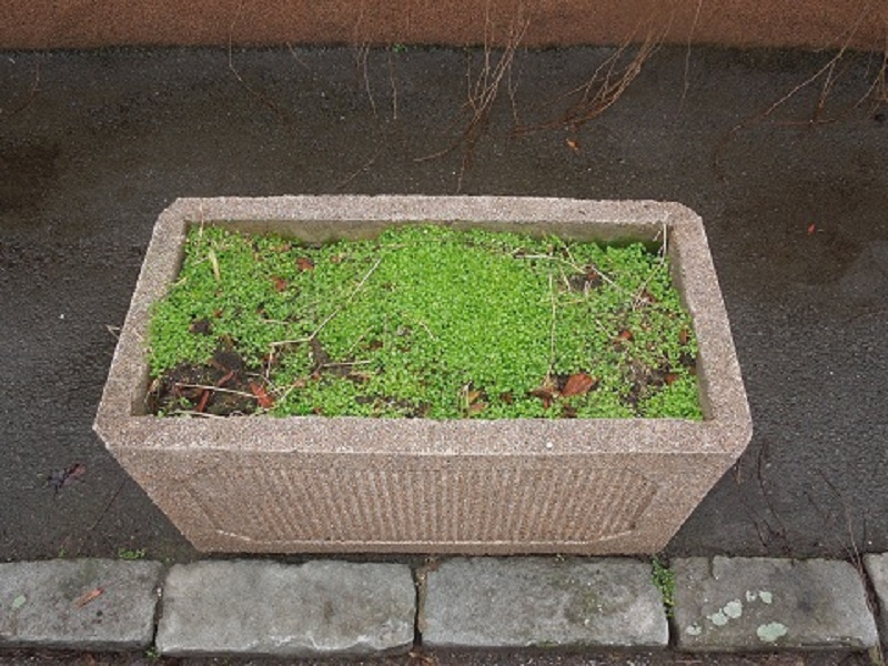 Ladislav Jaroš foto 5