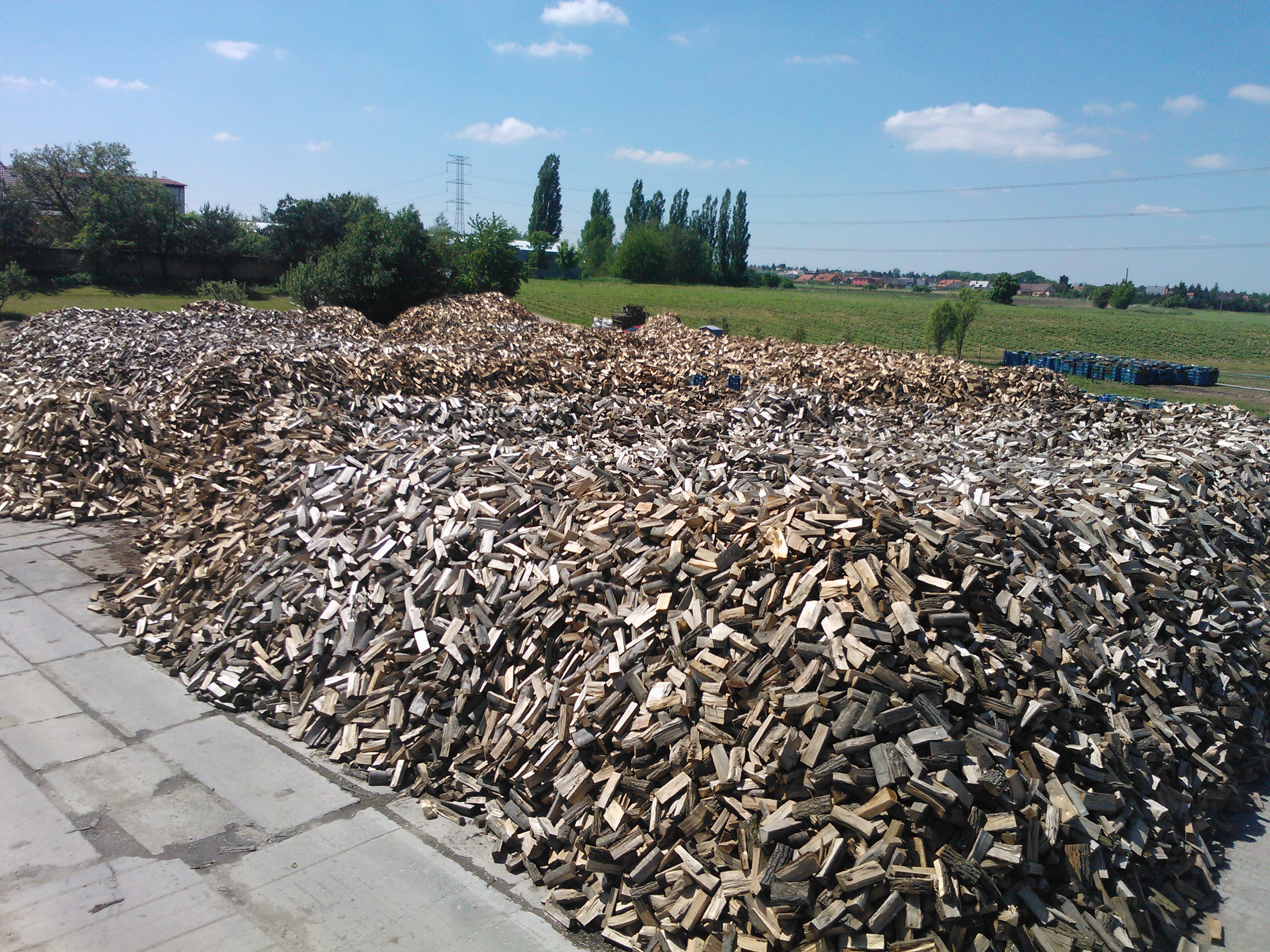 Albaflor foto 3
