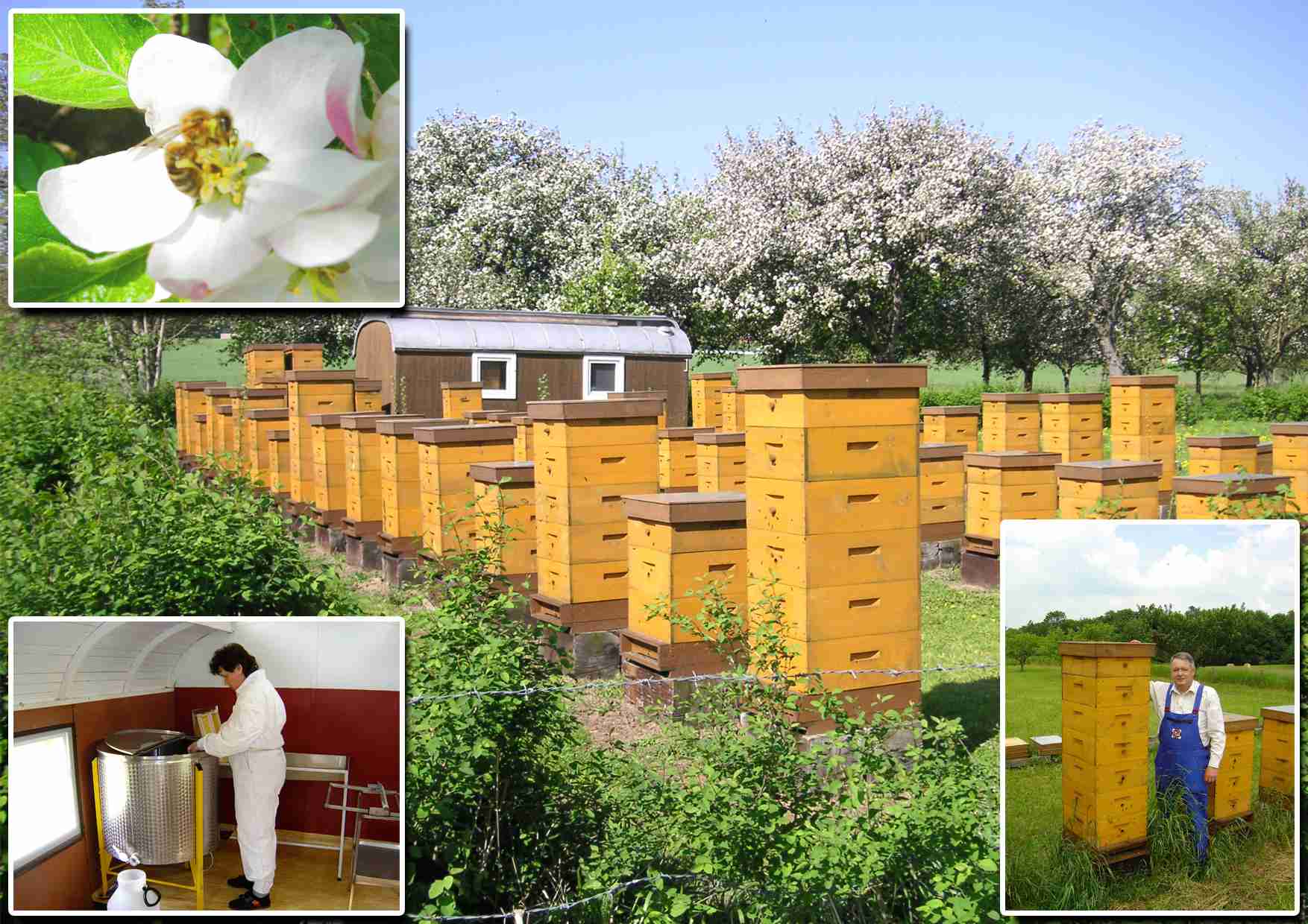 Včelařství Antonín Podhájecký foto 3