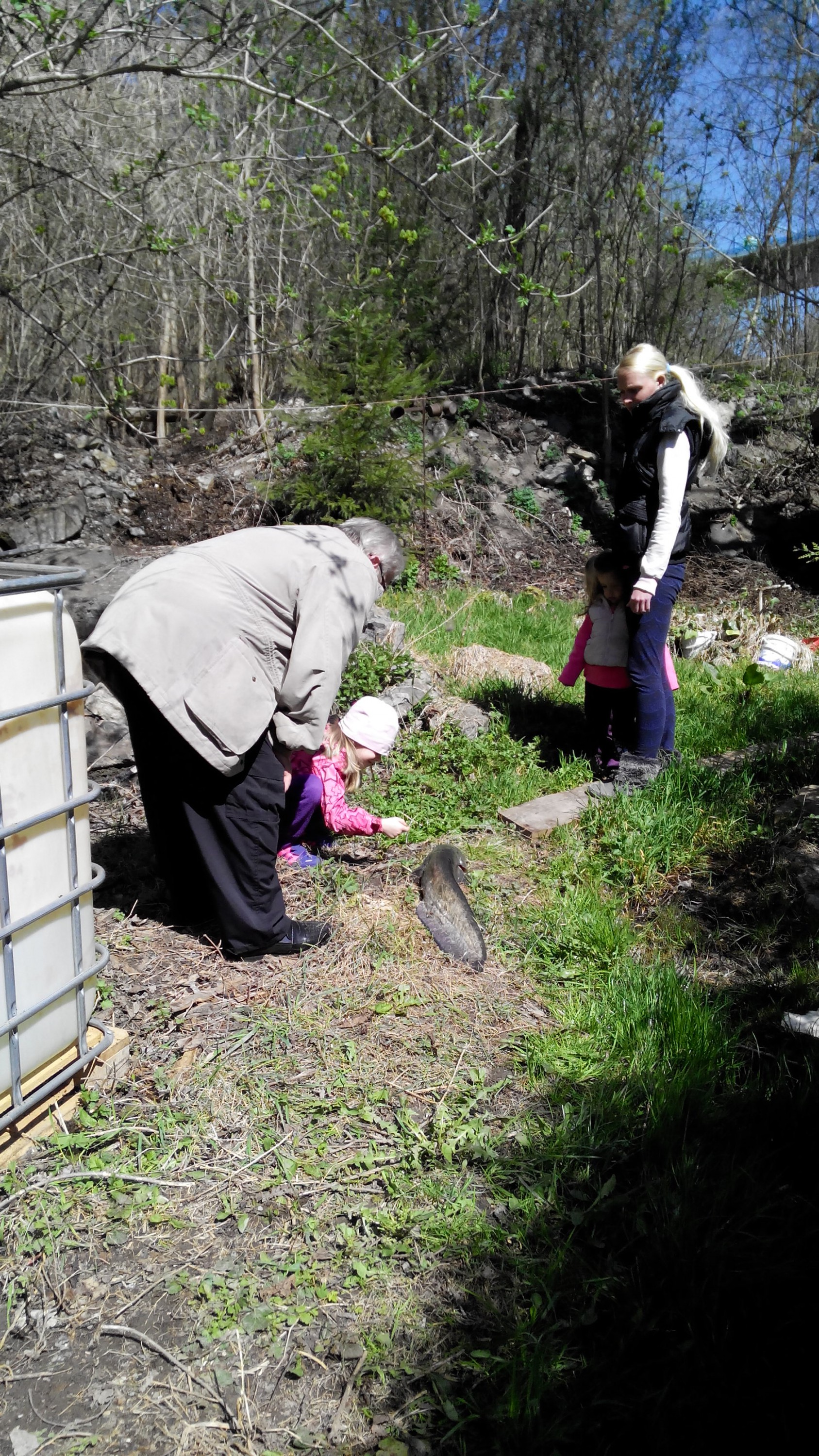 Pstruhová farma Praha 5 Lochkov foto 3