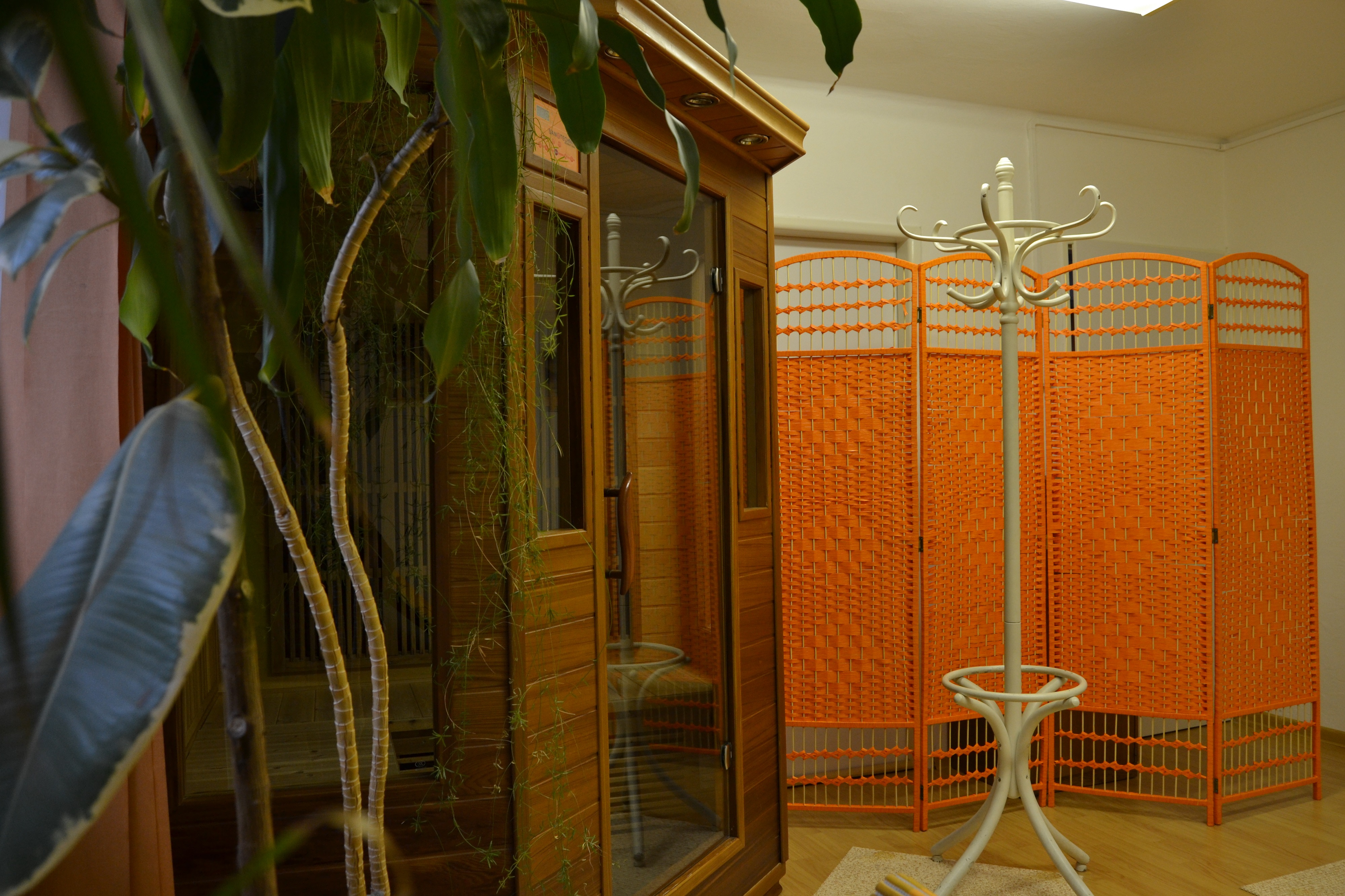 Wellness studio Minthe foto 6