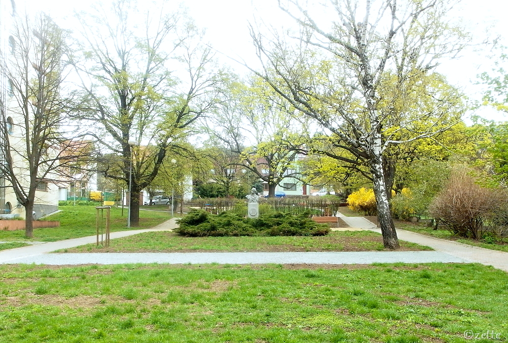 Úřad městské části Brno-Židenice foto 3