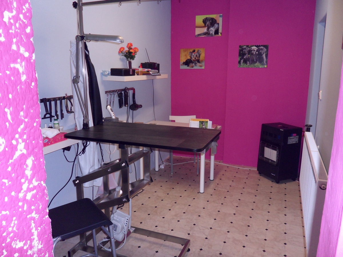 Salon Psí Sen foto 2