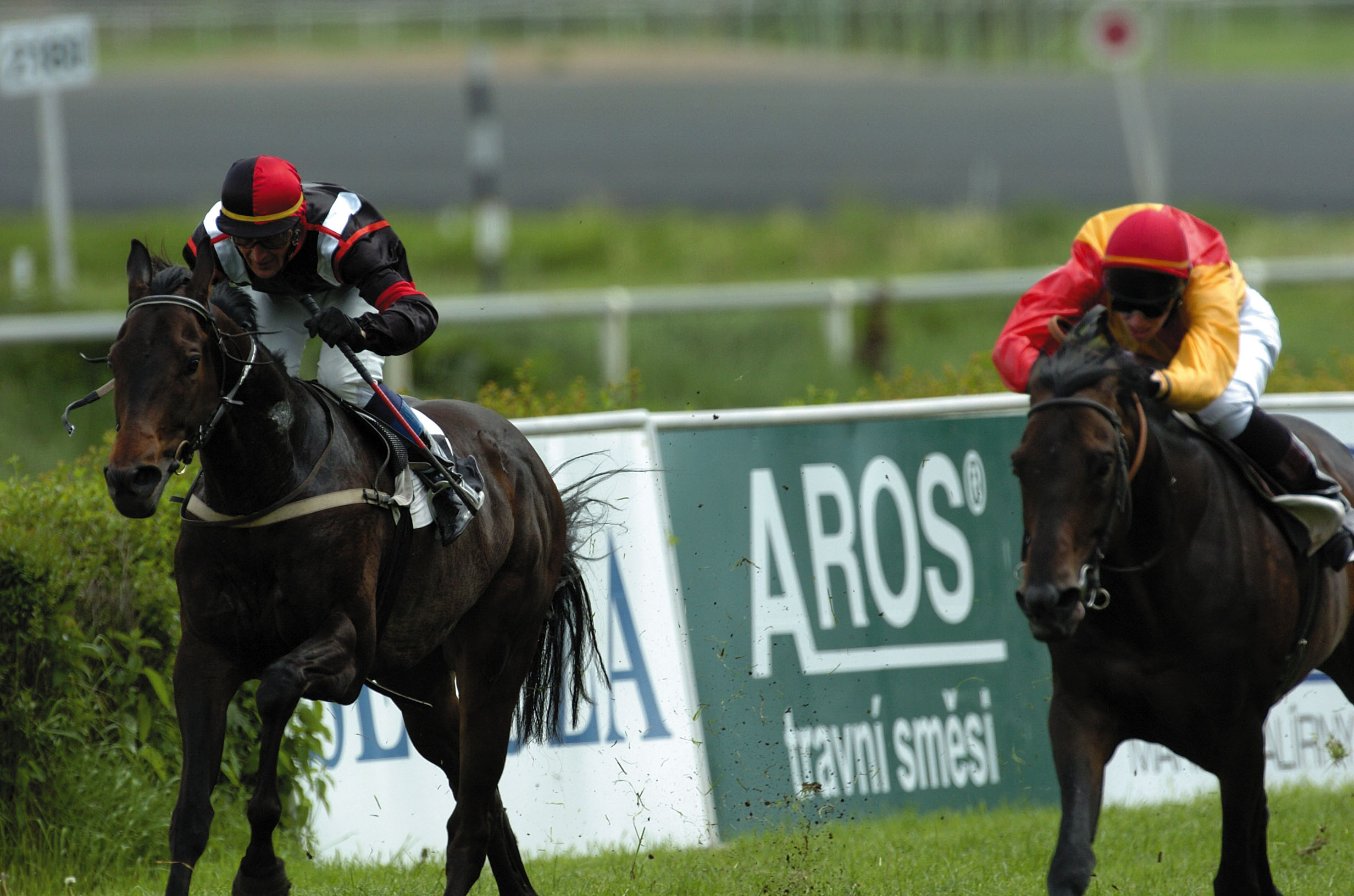 AROS-osiva – Výrobní závod foto 3