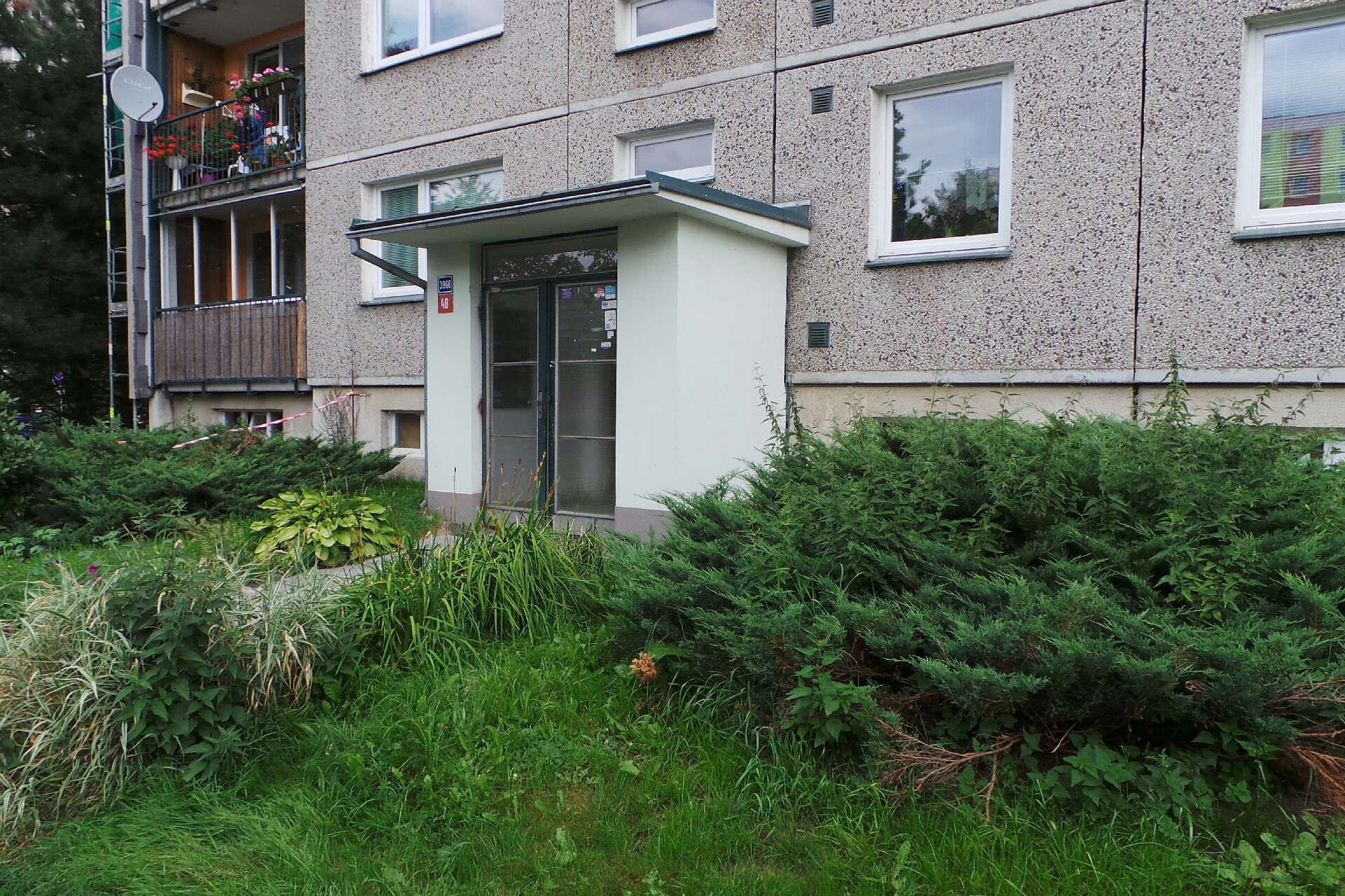 Eliška Červenková