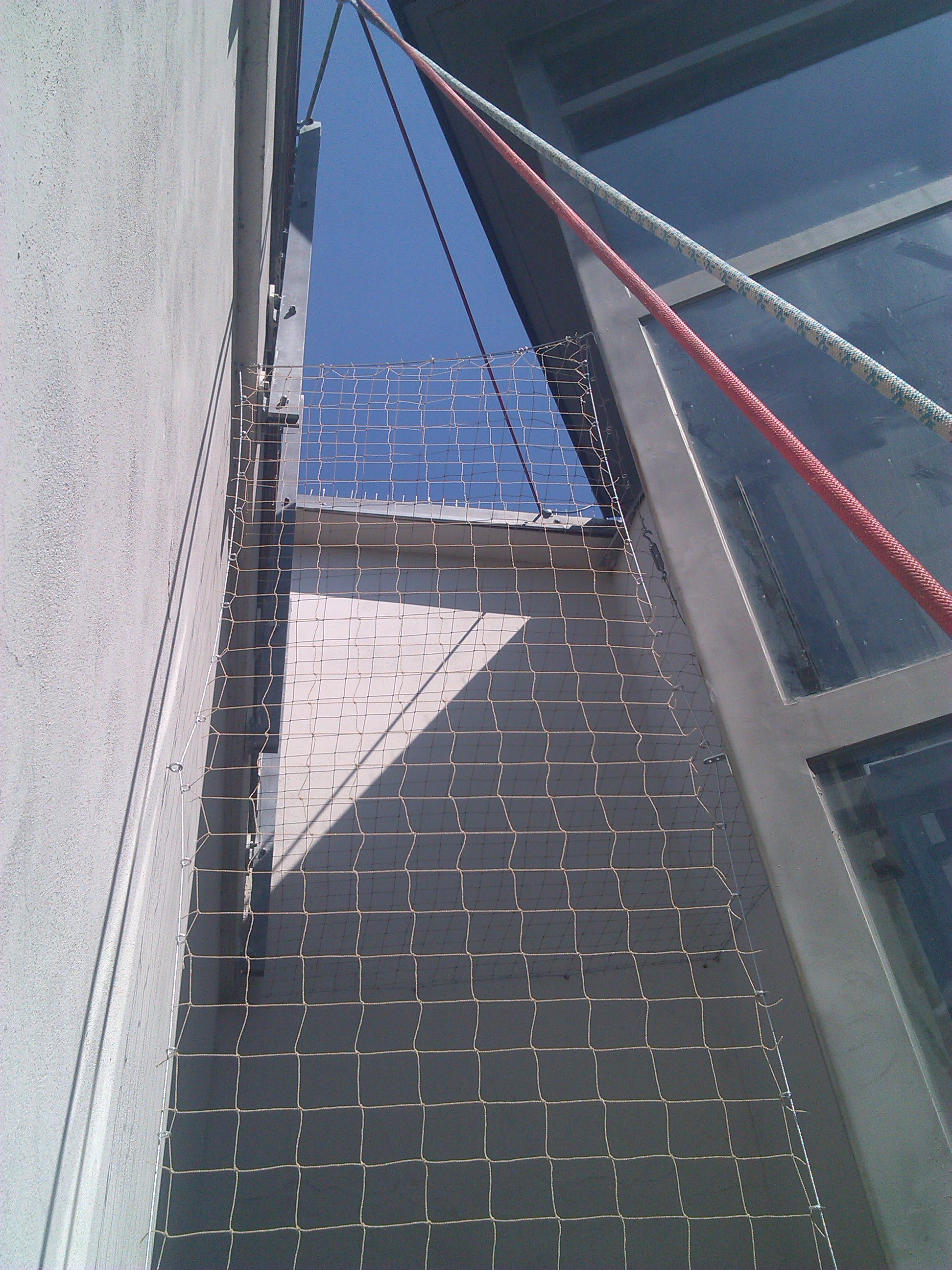 ARBOVERT s.r.o. foto 4