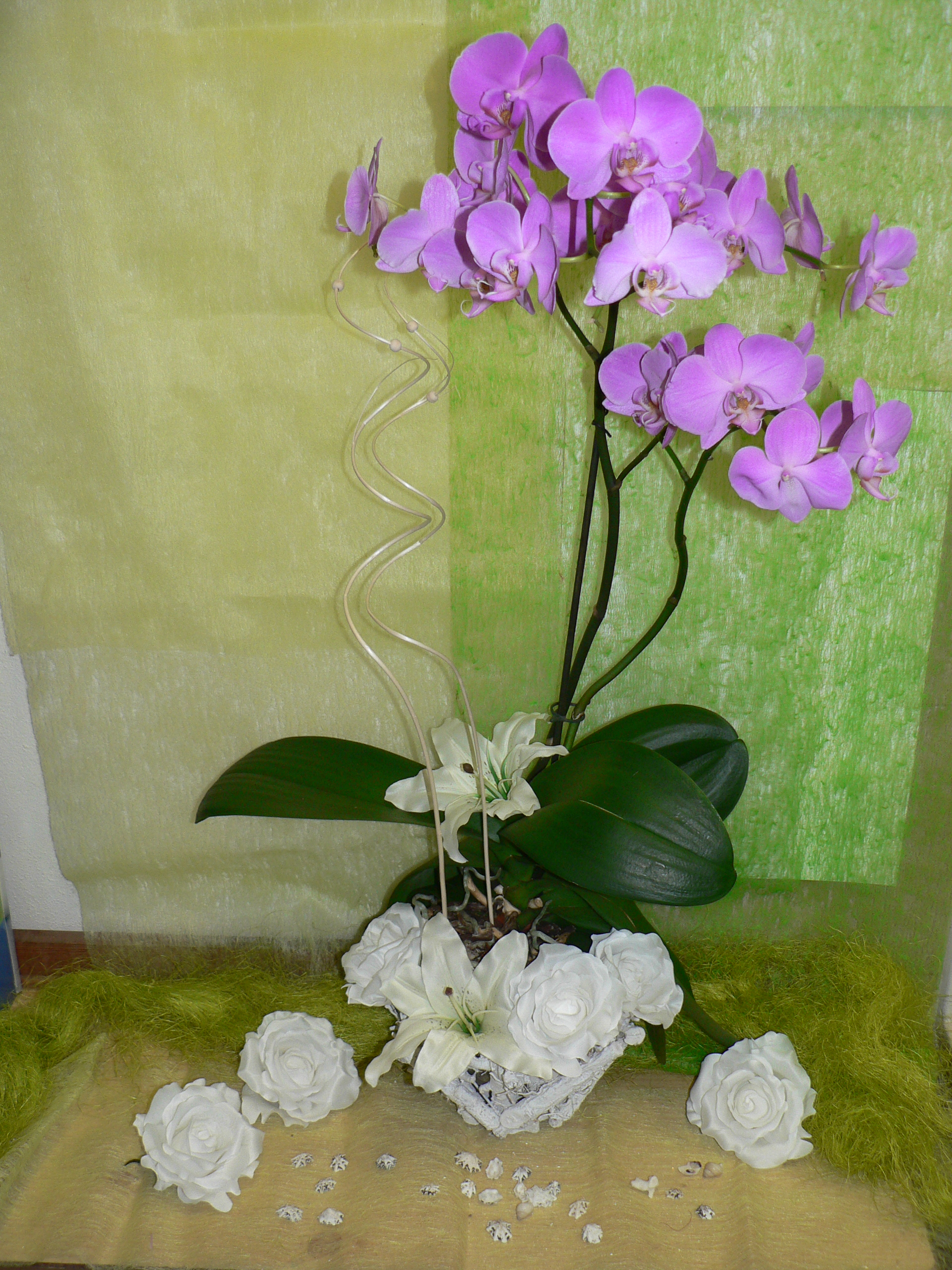 Květinářství Glorie foto 3