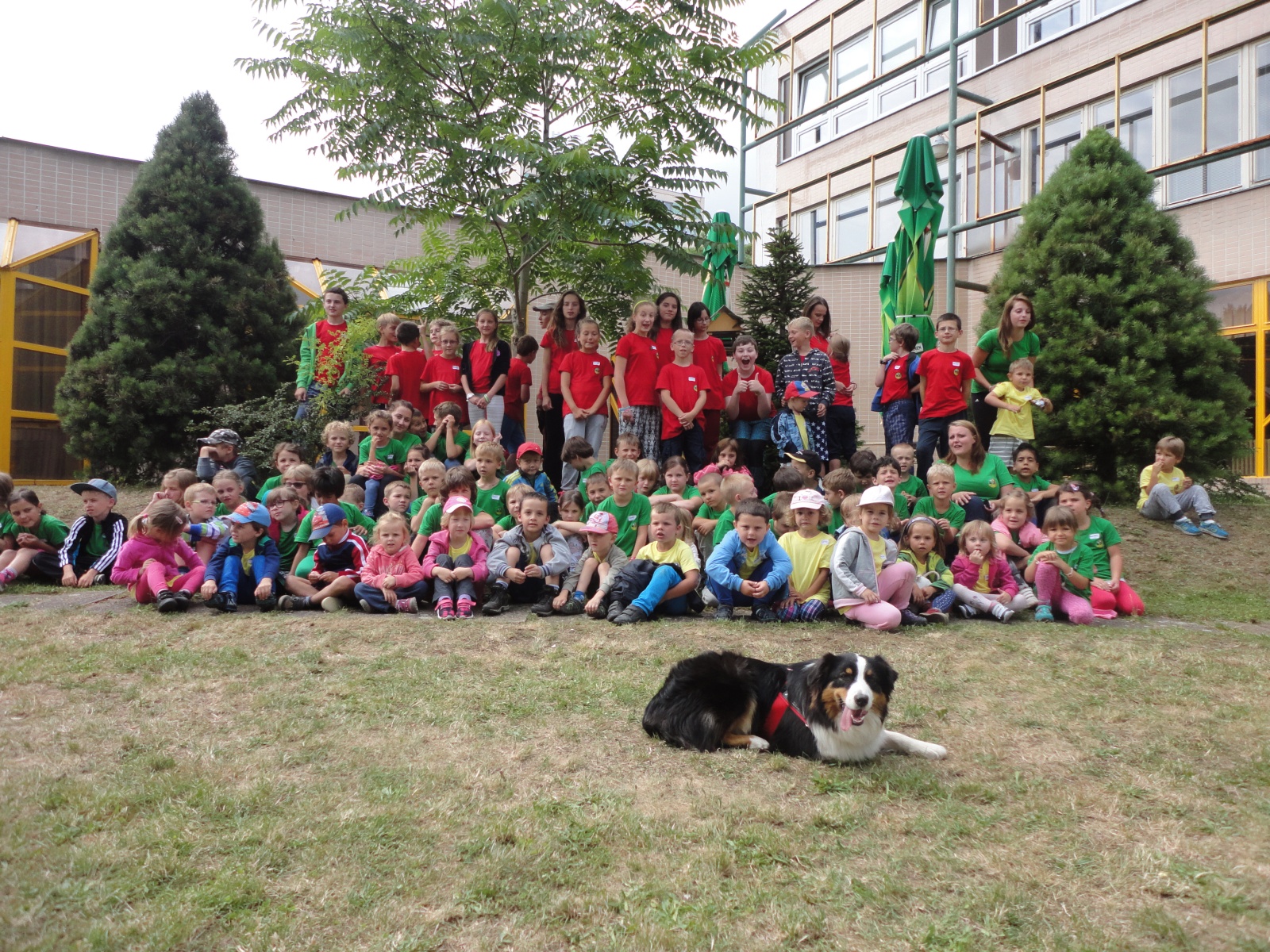 Děti sportu, z.s. foto 3