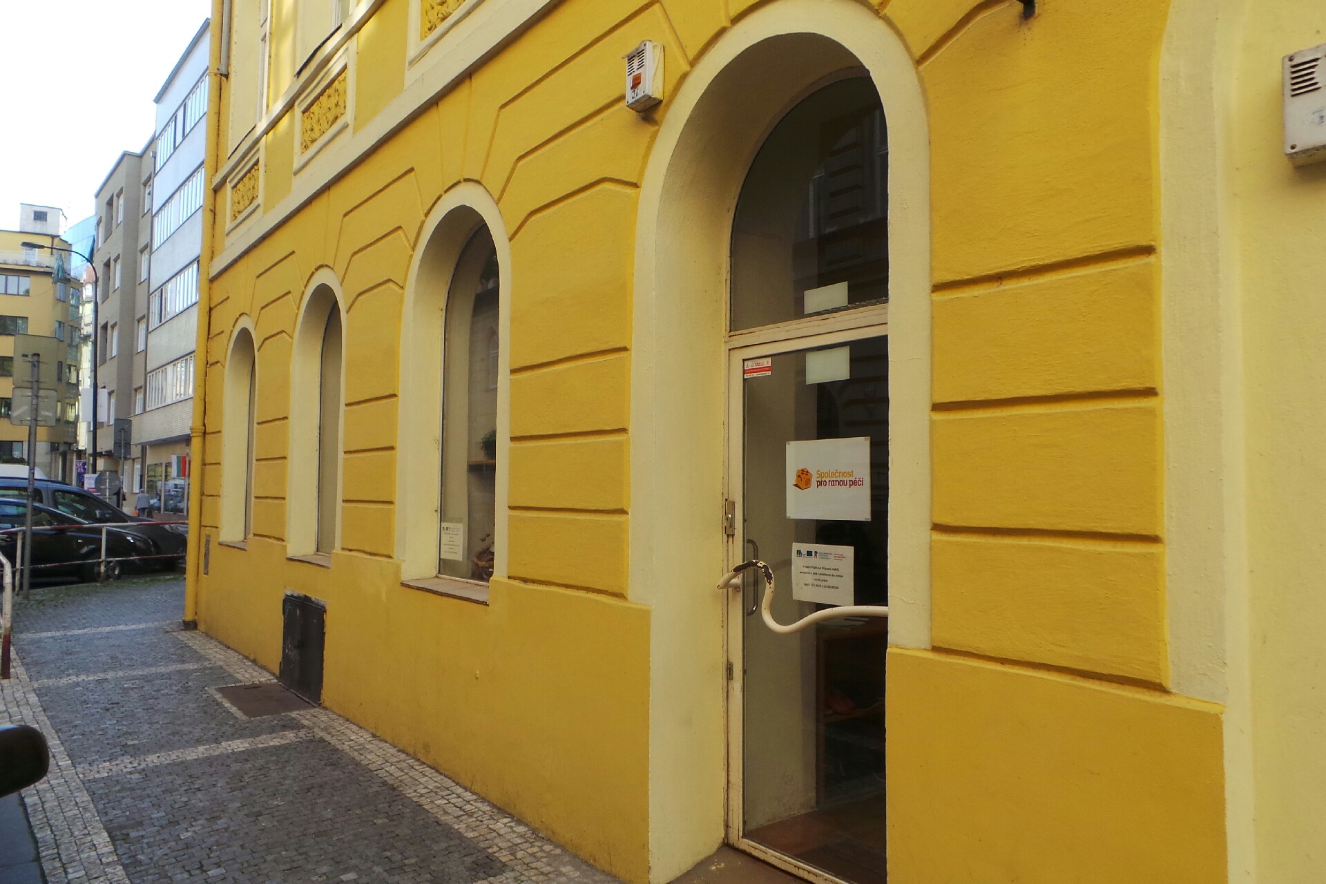 Společnost pro ranou péči