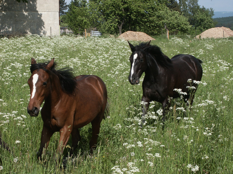 Václav Slouka - Vendy Ranch foto 4