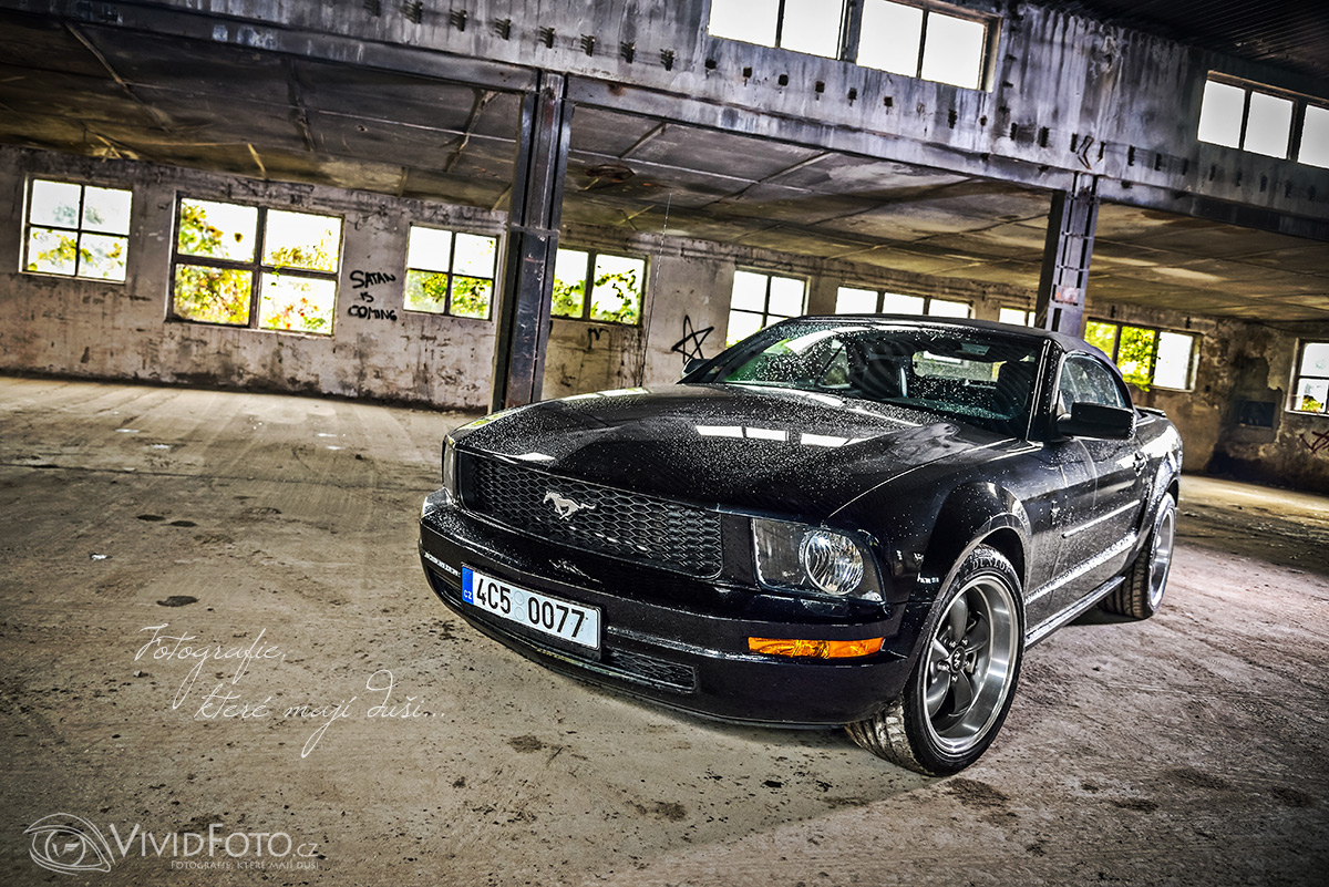 VividFoto.cz - fotograf Radek Havlíček foto 2