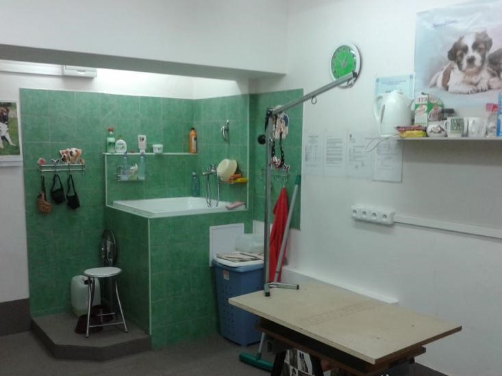 Hana Mašínová - Psí salon foto 2