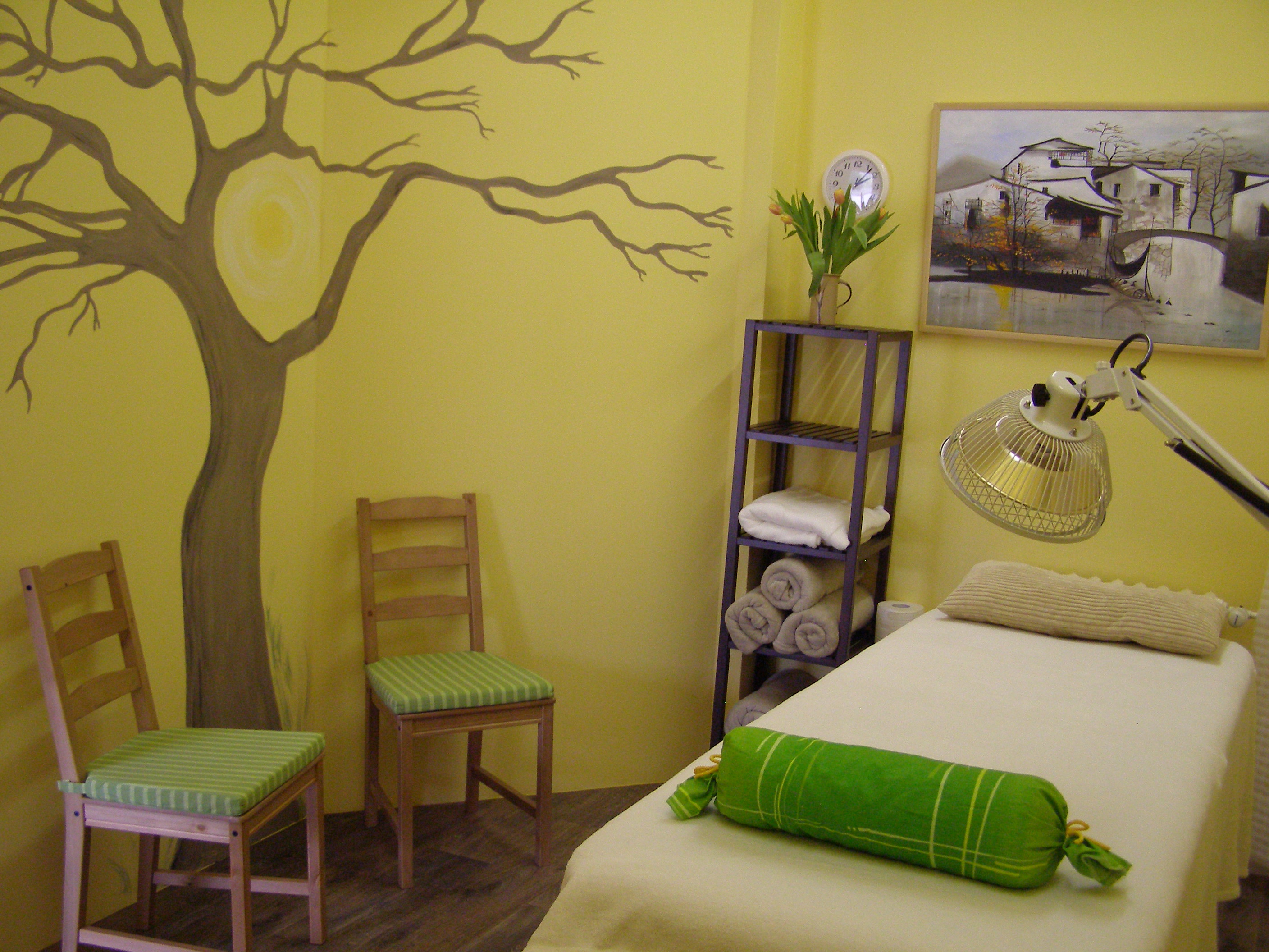 Radka Dohnalová, DiS - Centrum tradiční čínské medicíny Fénix foto 3