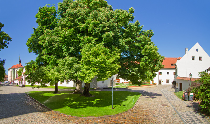 Hotel Monastery foto 5