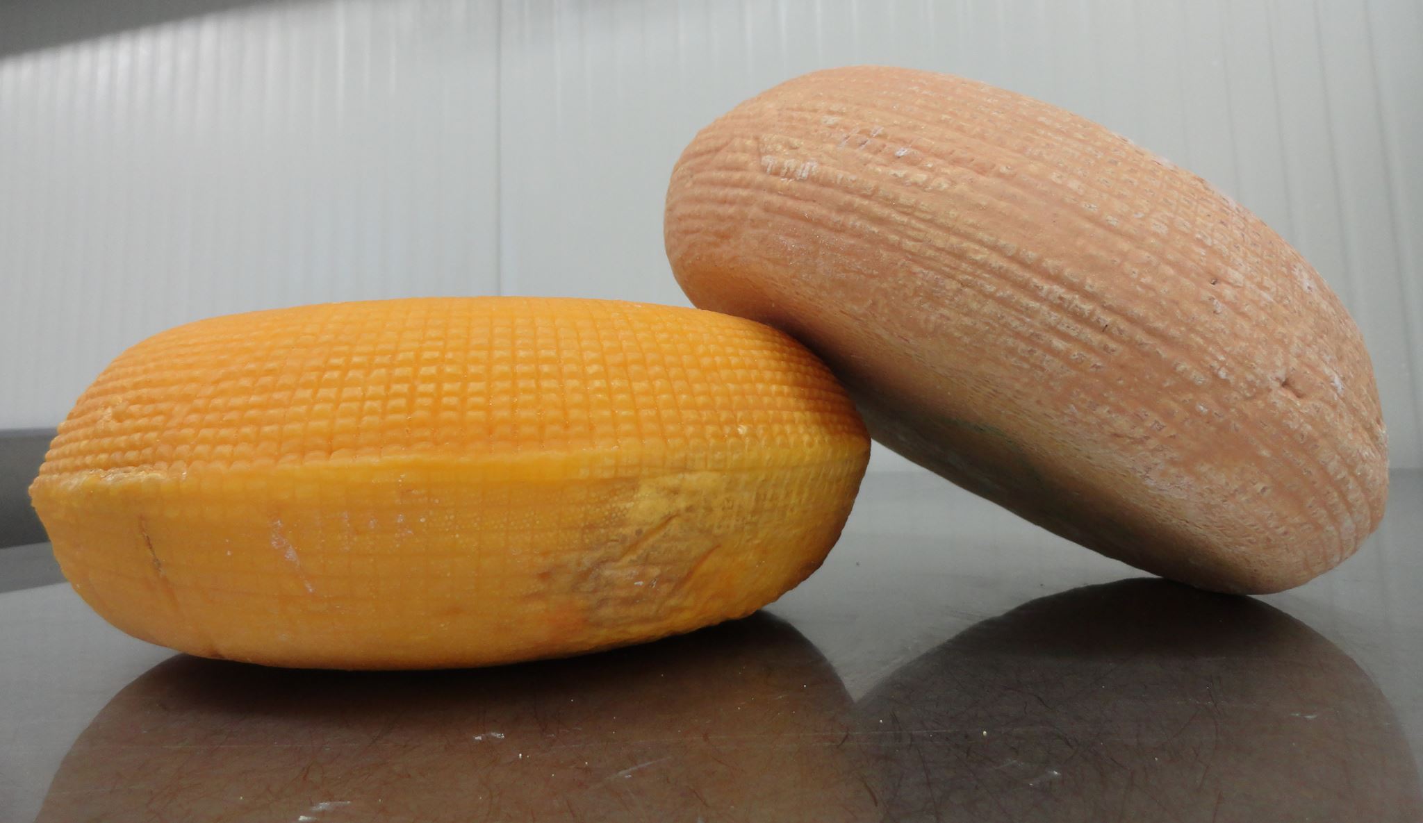 Kozí farma ZERLINA foto 2