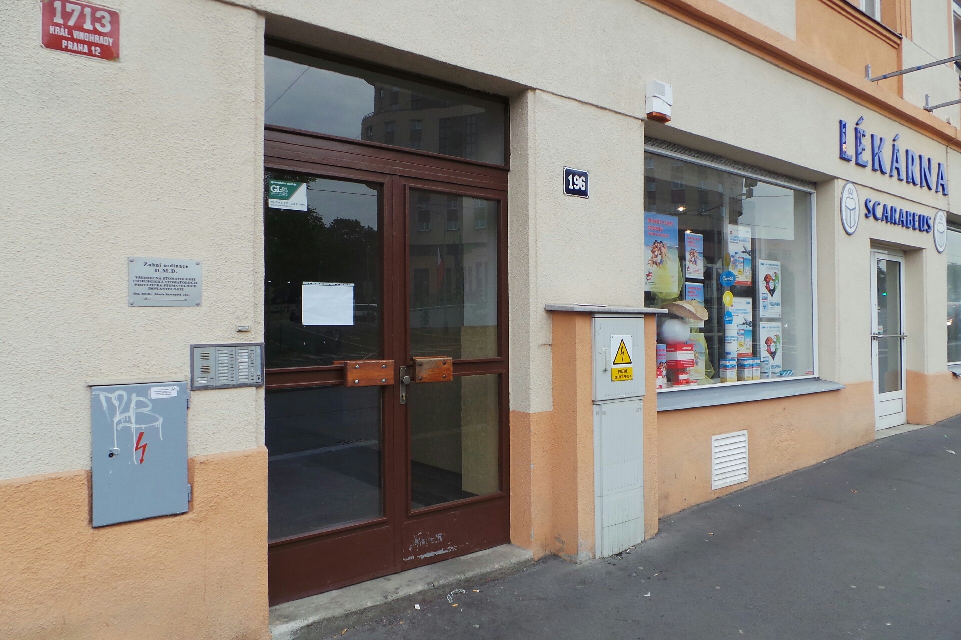 Darina Kynčlová foto 1