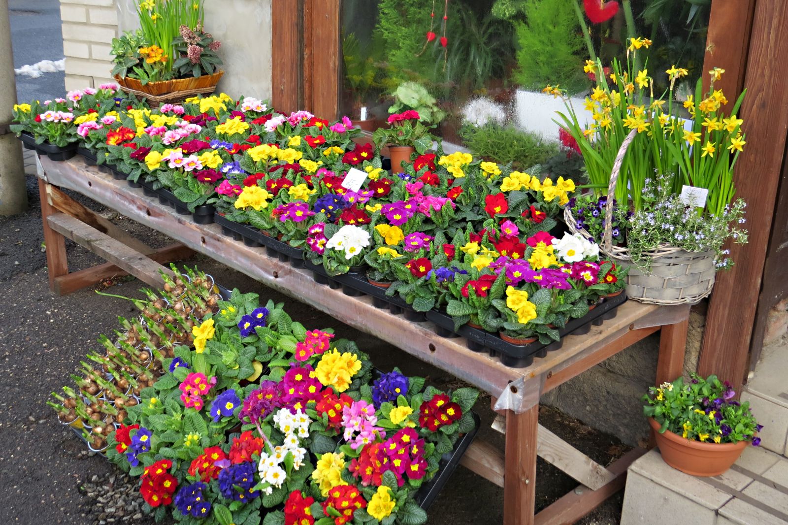 Zahradnictví Franc foto 3