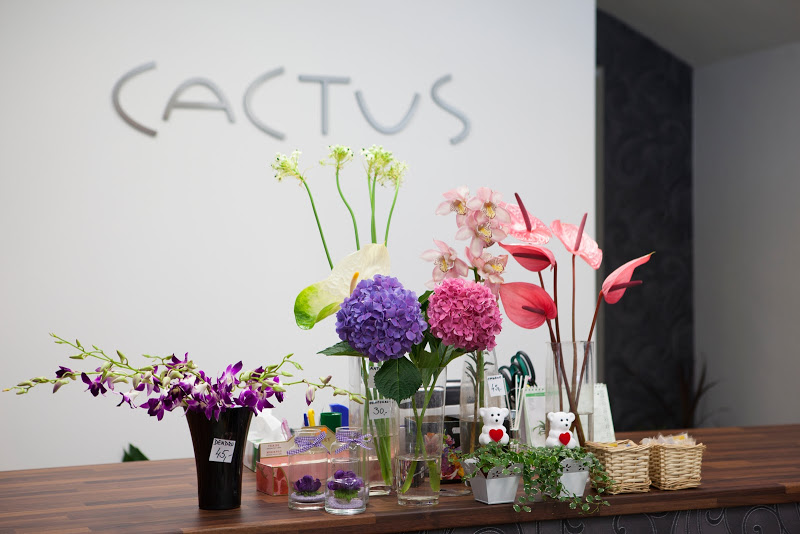 Cactus květiny foto 4