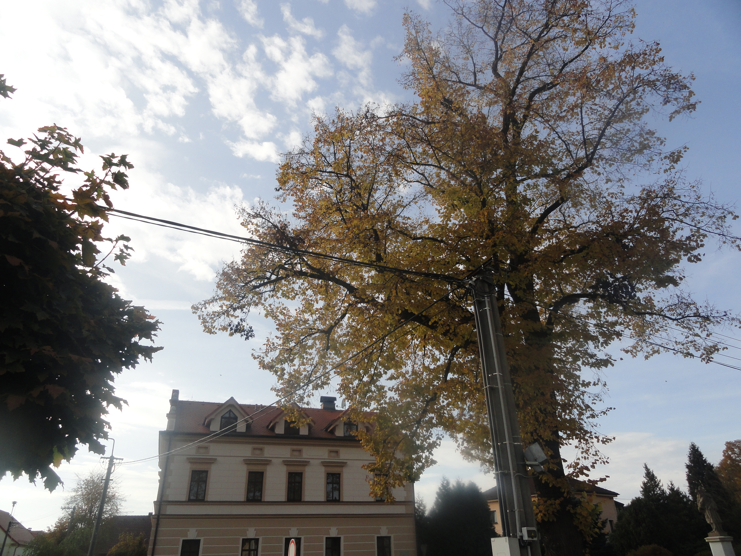 Penzion Haydnův dům foto 2