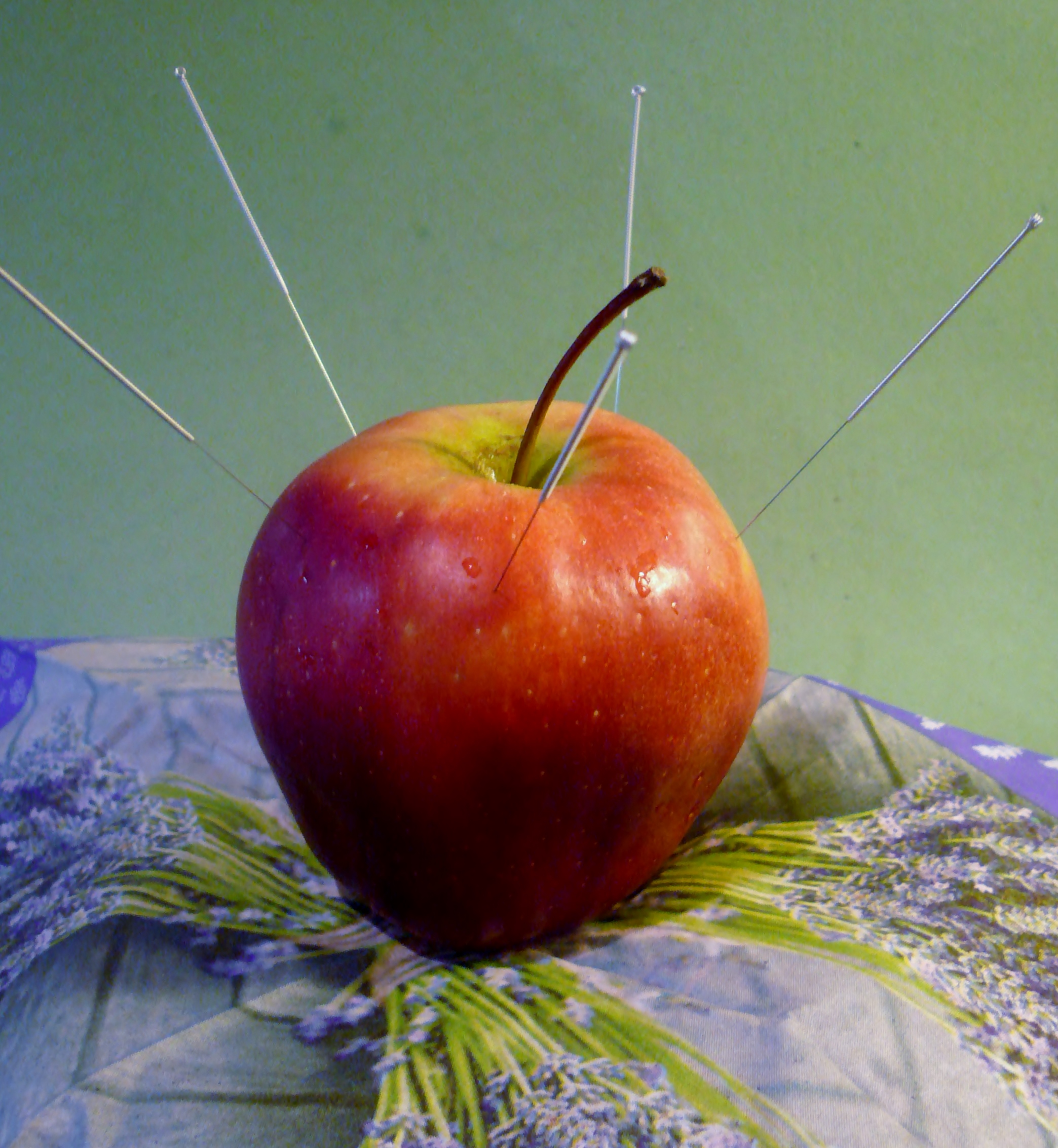 Tradiční čínská medicína - Petra Bártová foto 2