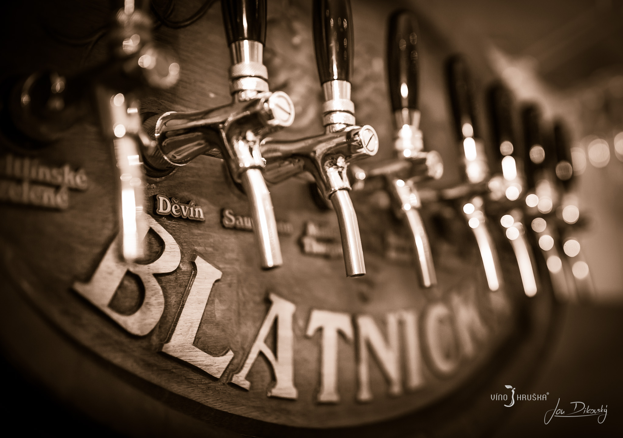 Vinotéka a penzion VÍNO HRUŠKA foto 2