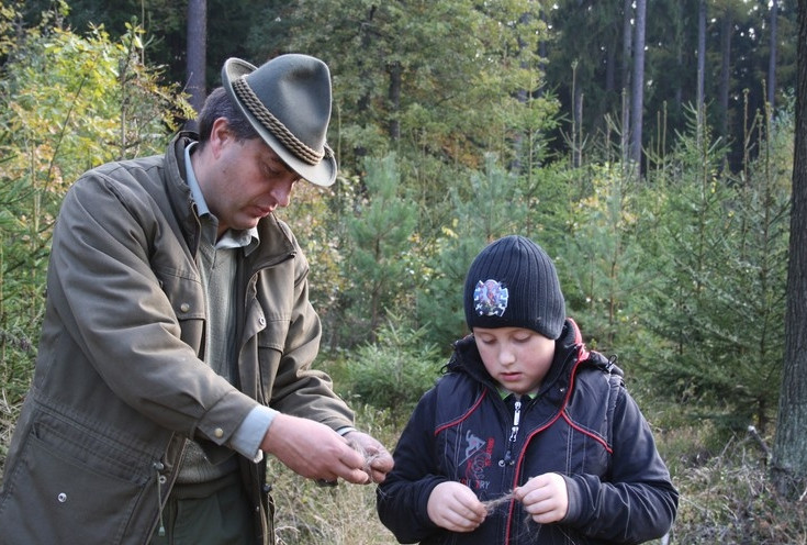 Lesy města Dvůr Králové nad Labem, s.r.o. foto 2