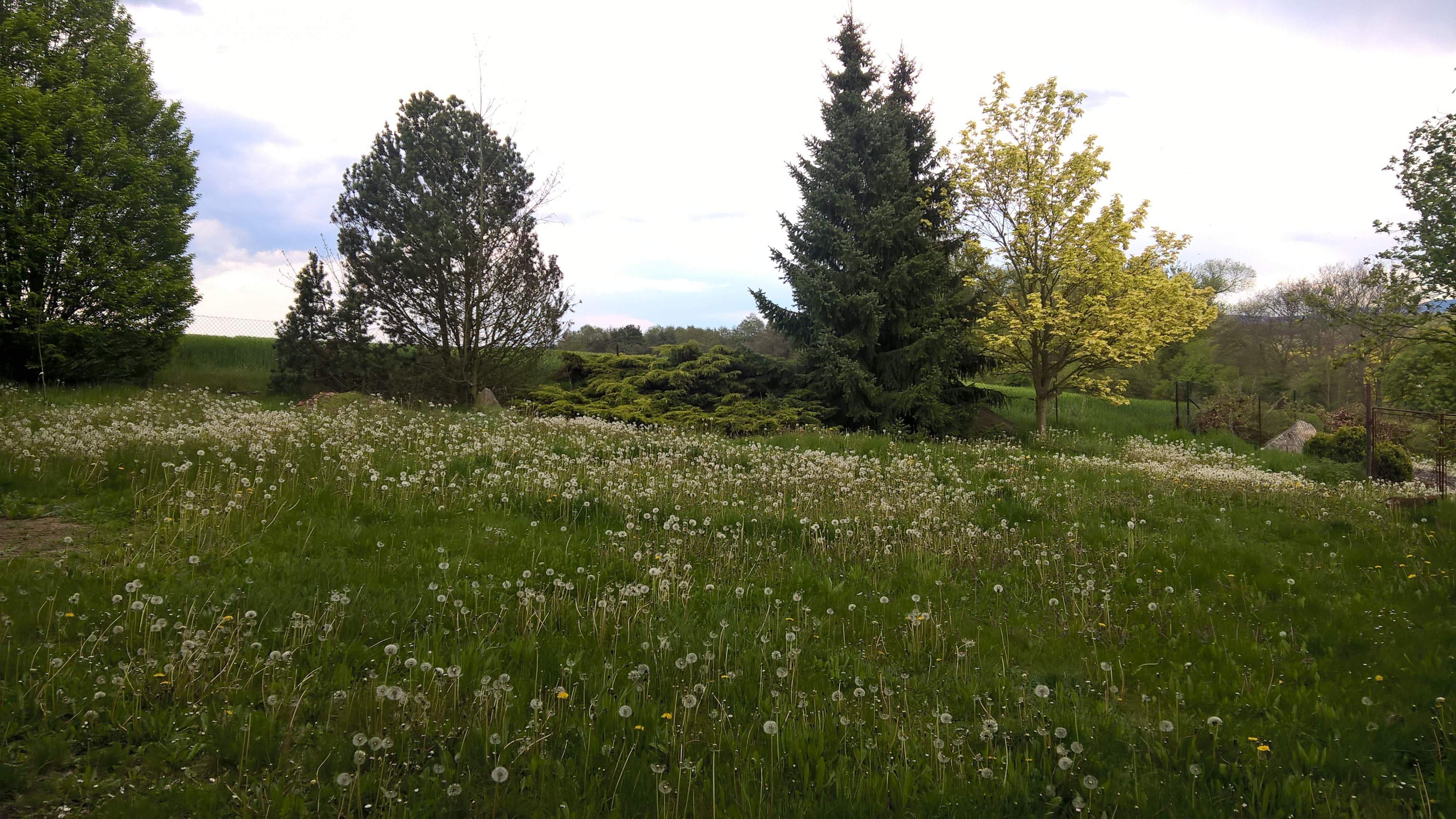 Všehrdy - obecní úřad foto 2