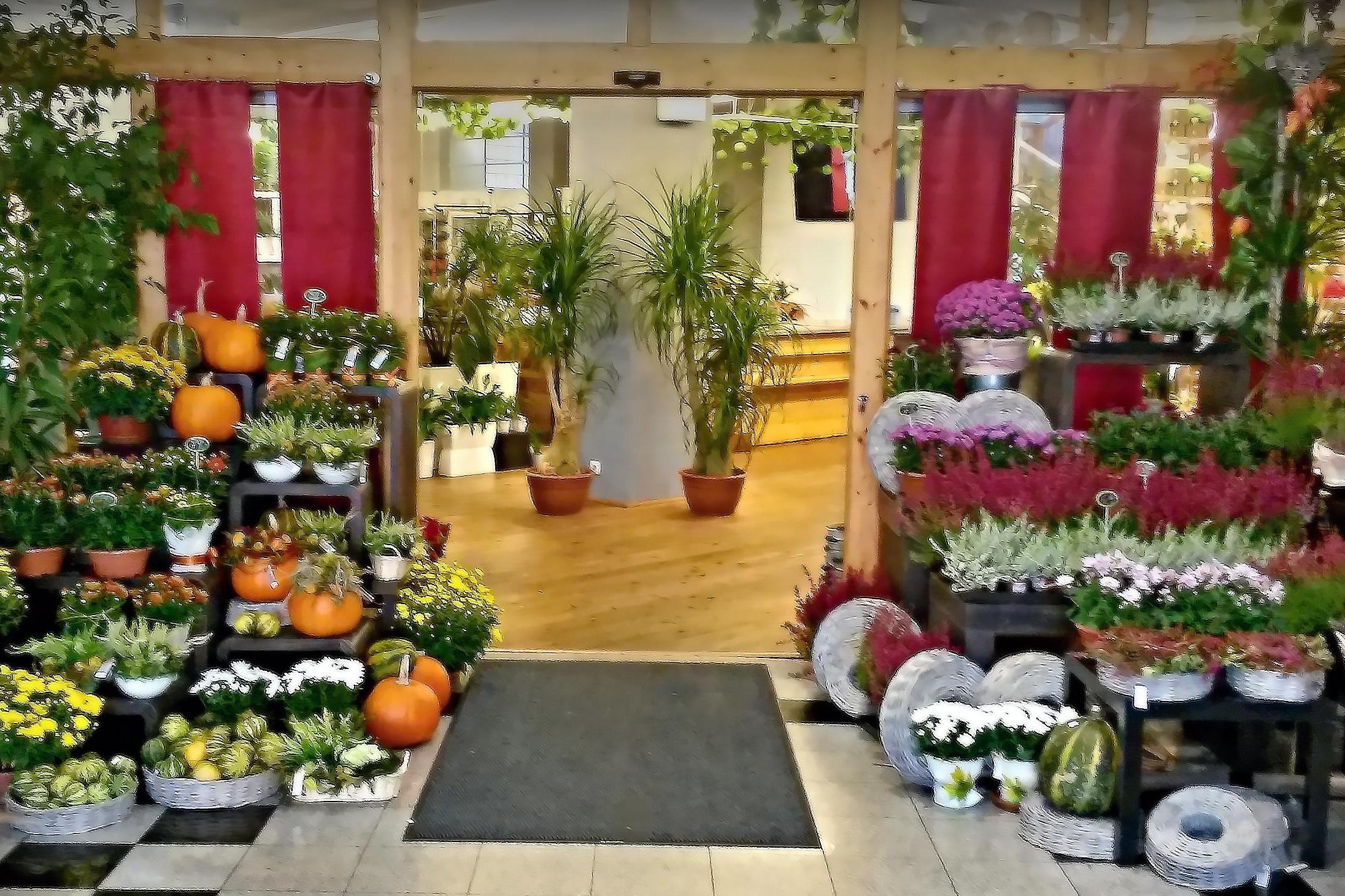 KVĚTINÁŘSTVÍ SLUNEČNICE, s.r.o.