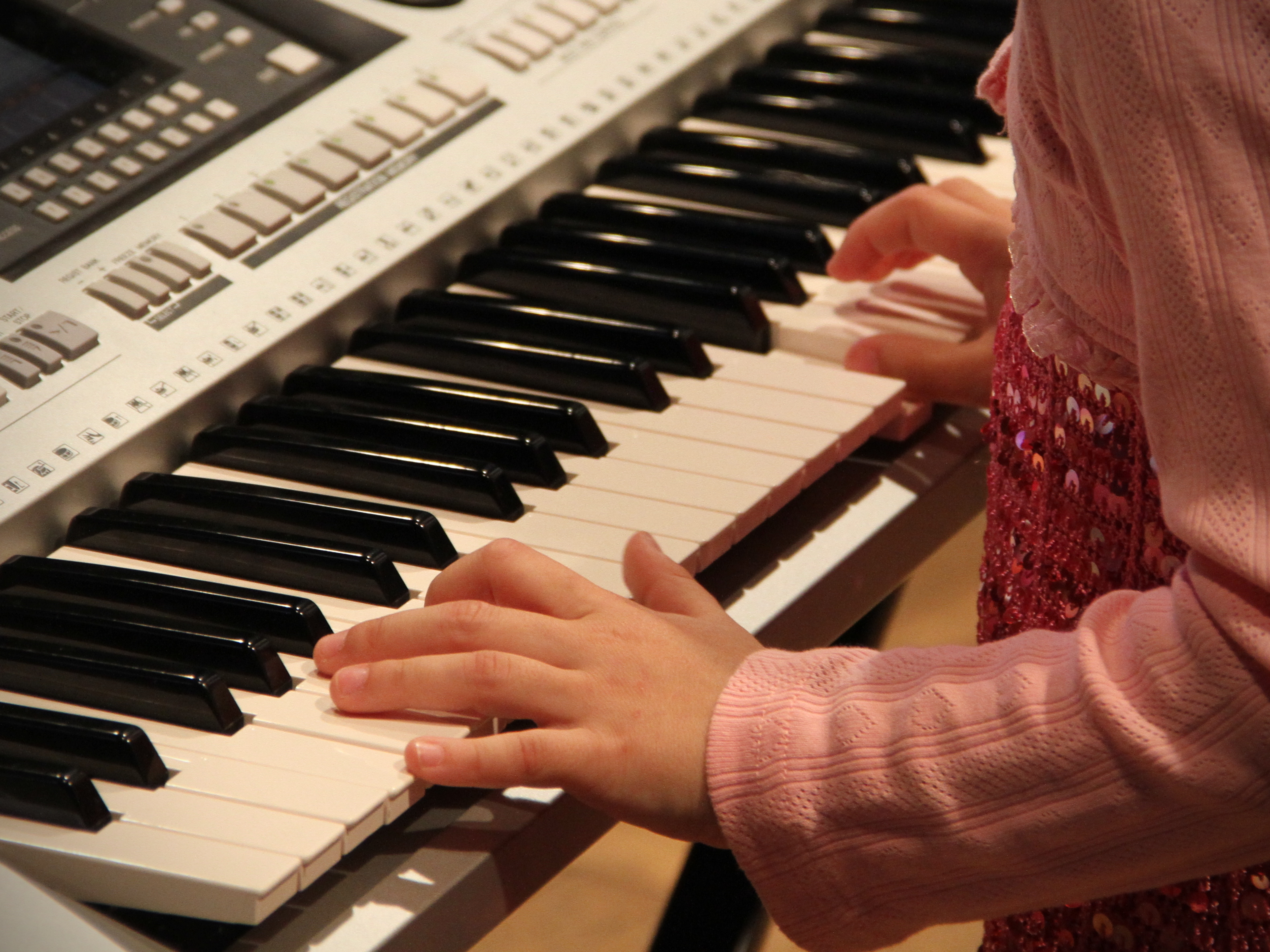 Druhá soukromá základní umělecká škola, s.r.o. foto 2