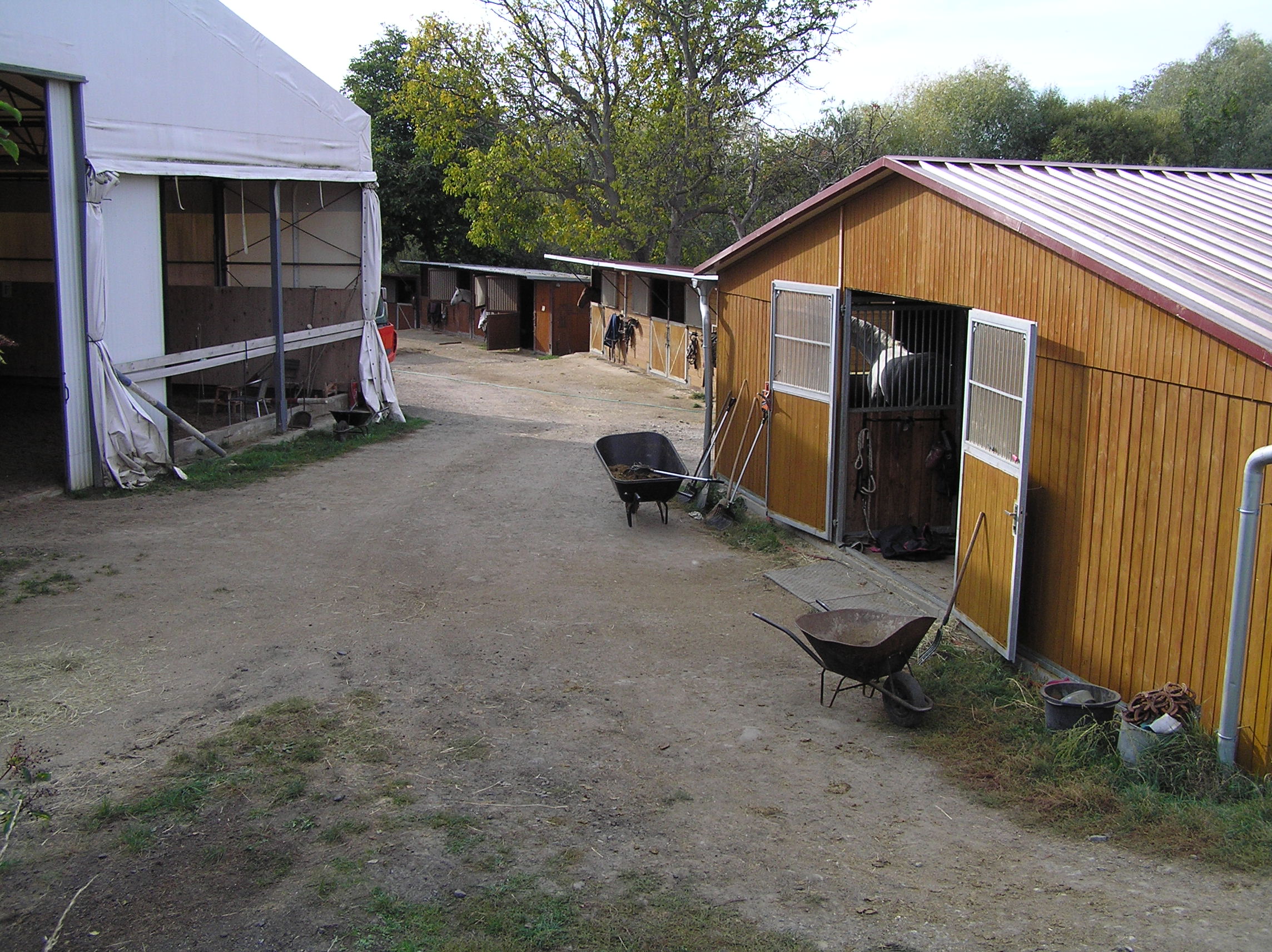 Sportovní stáj Golem