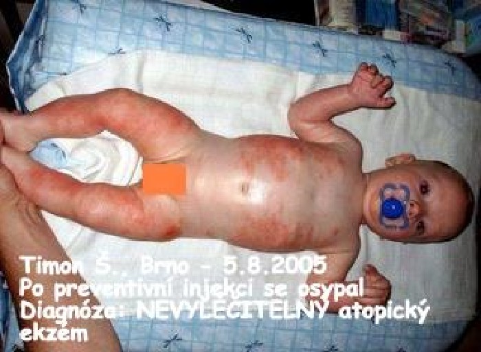 Jiří Šteiner foto 2