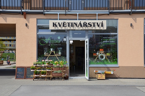 Vaše zahradnice foto 2