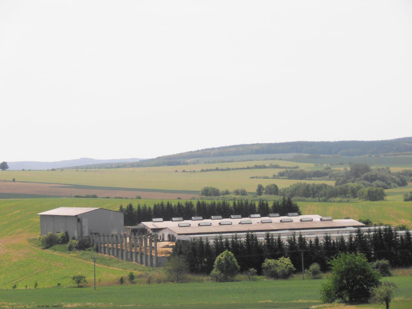 AGRODRUŽSTVO MORKOVICE foto 3