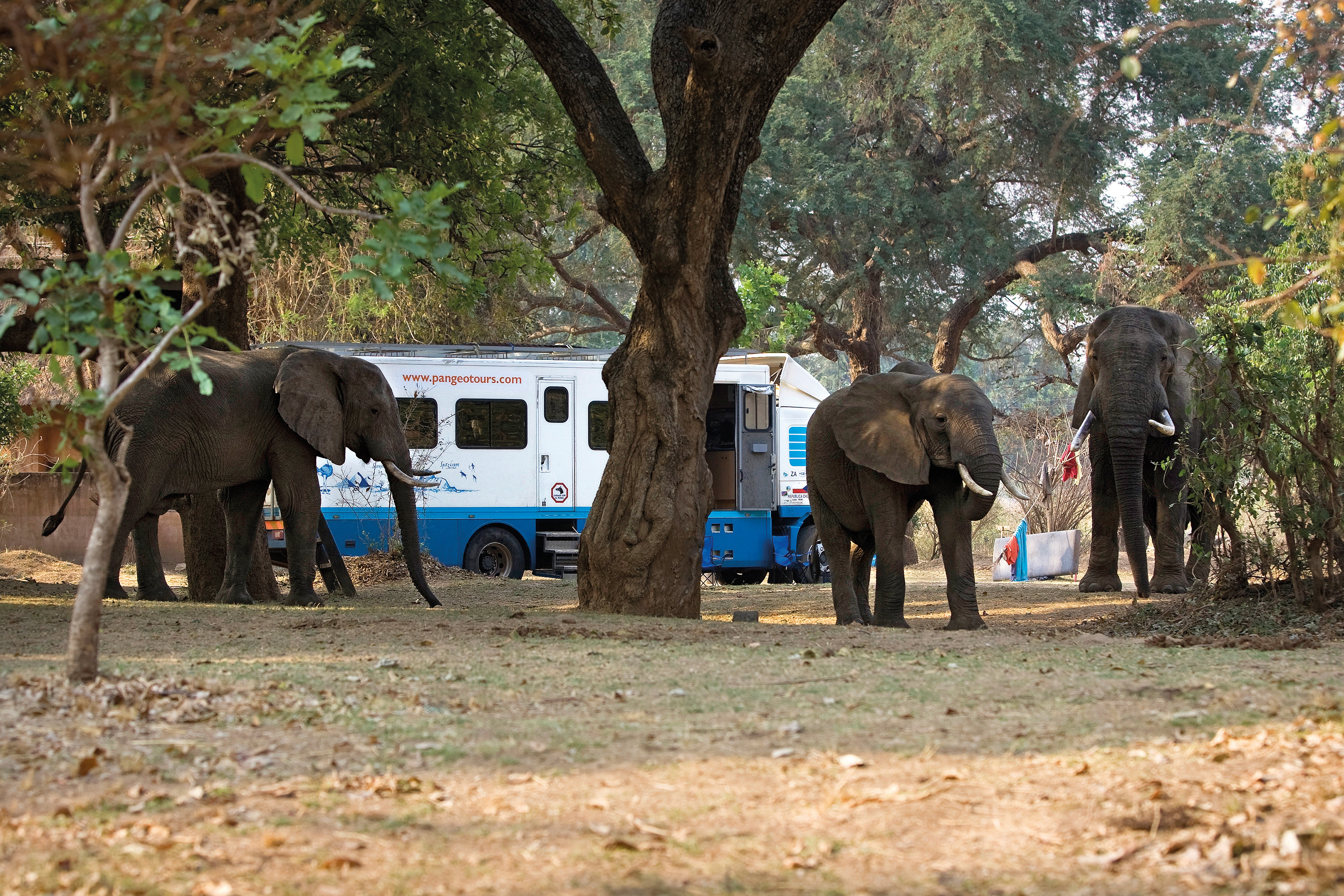 Pangeo tours, a.s. foto 3