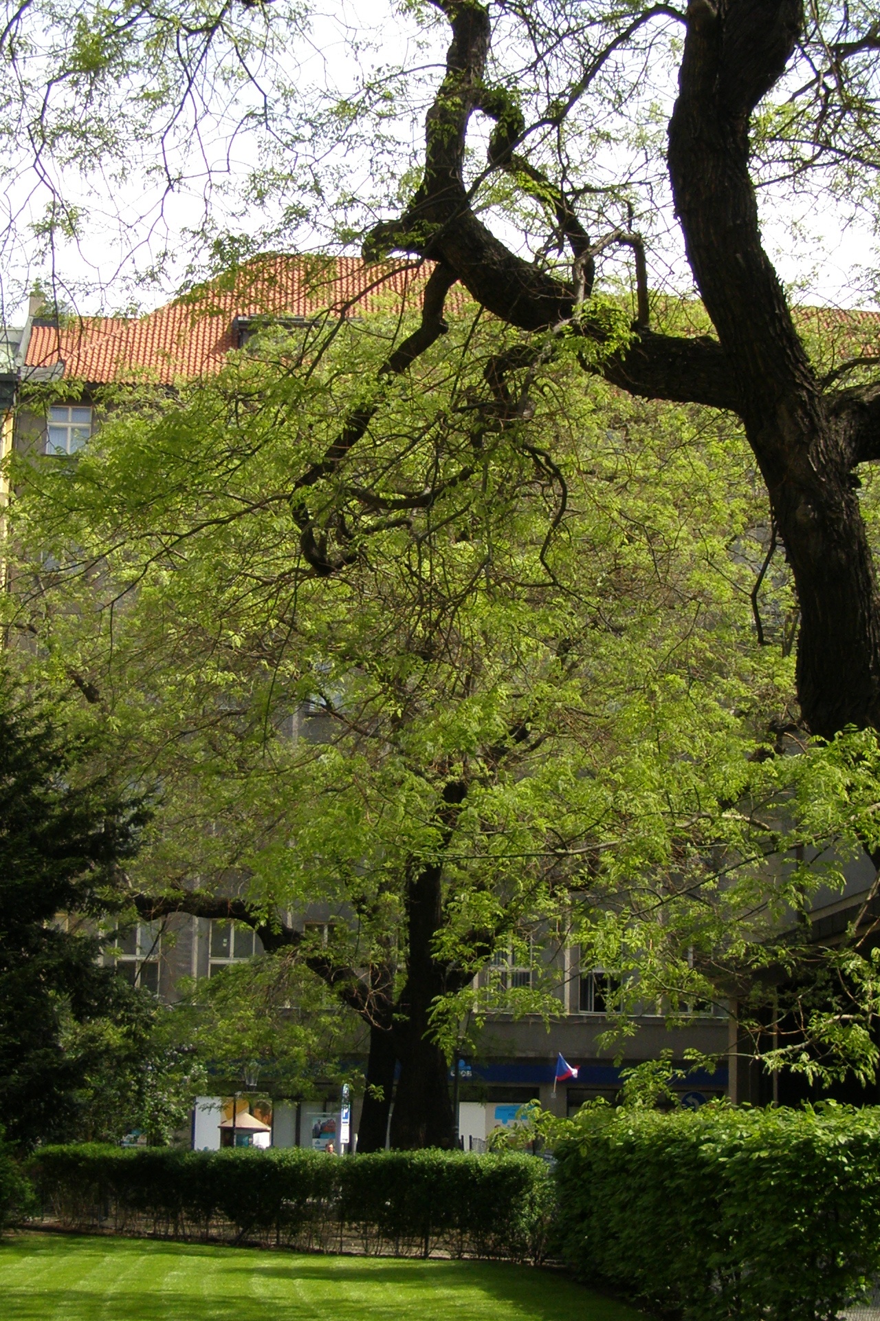 SMOSK k-centrum foto 4