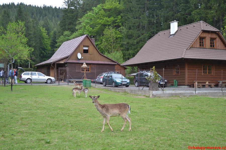 Chalupy u dančí a jelení obory foto 4