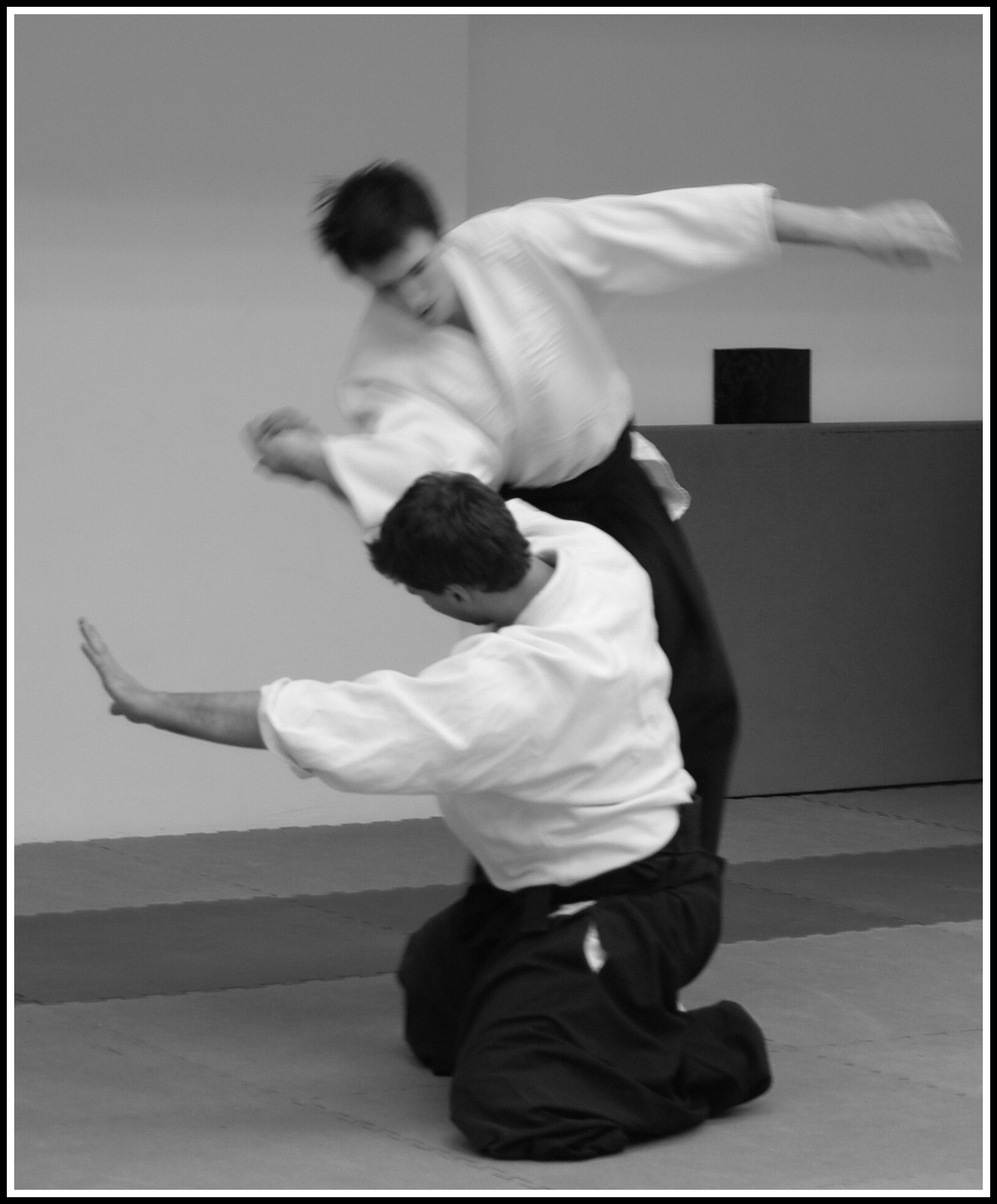 Usagi dojo foto 2