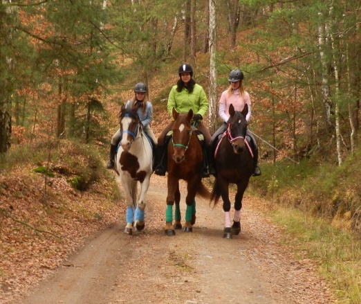 4horse.cz foto 5