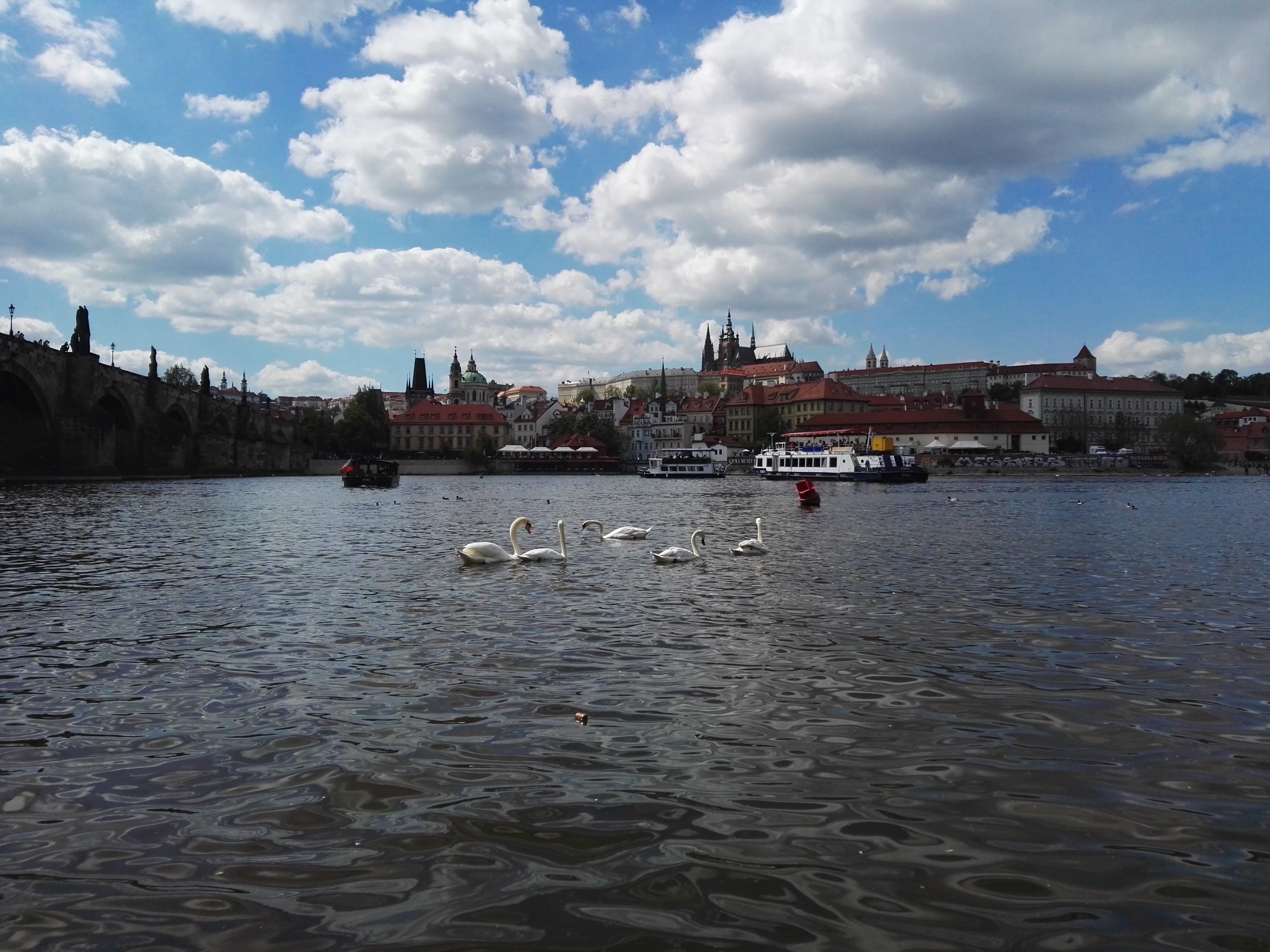 Pražské Benátky, s.r.o. foto 6