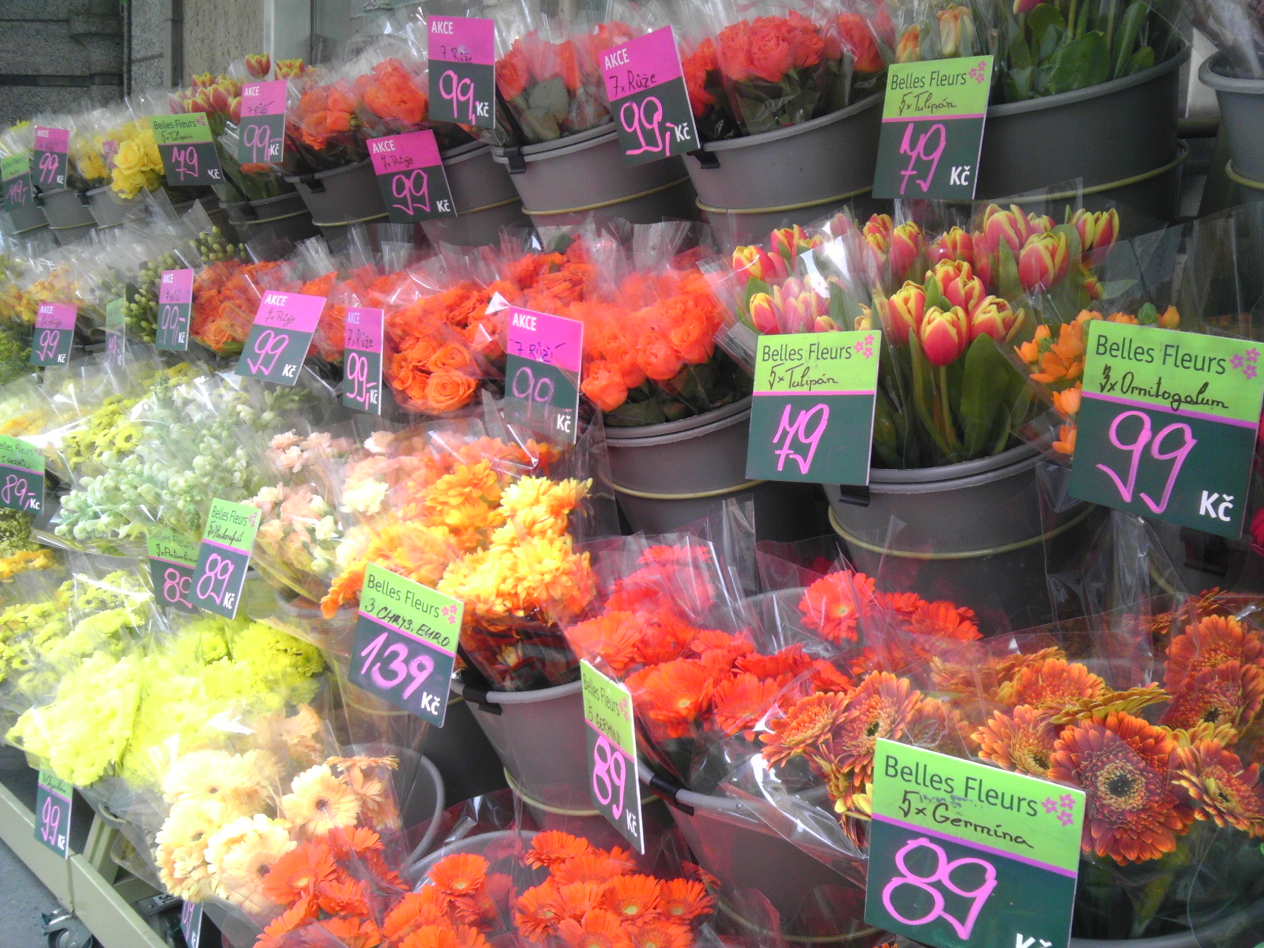 Květinářství Belles Fleurs foto 4