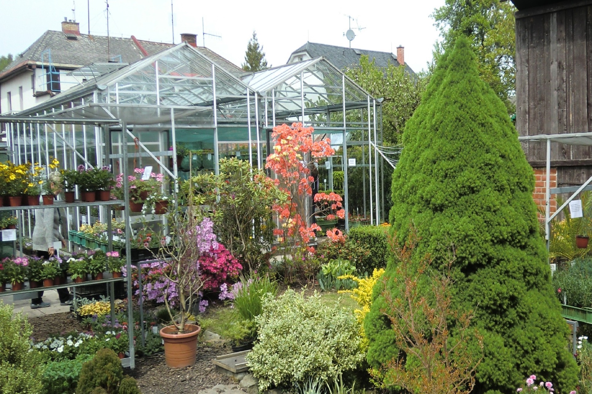 Koexflor - Petr Mitiska