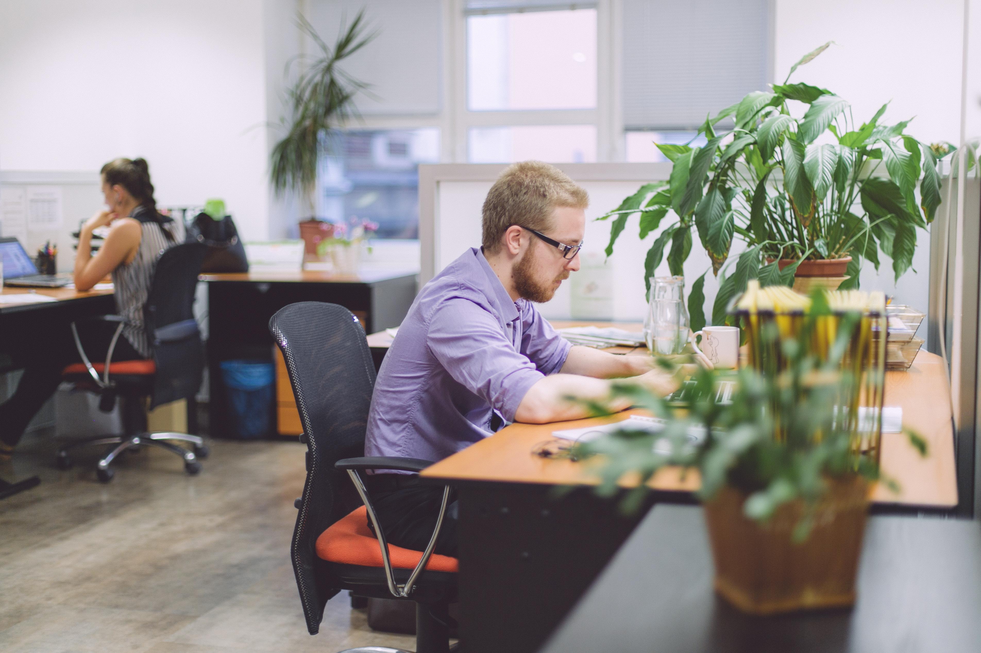 Focus agency, s.r.o.