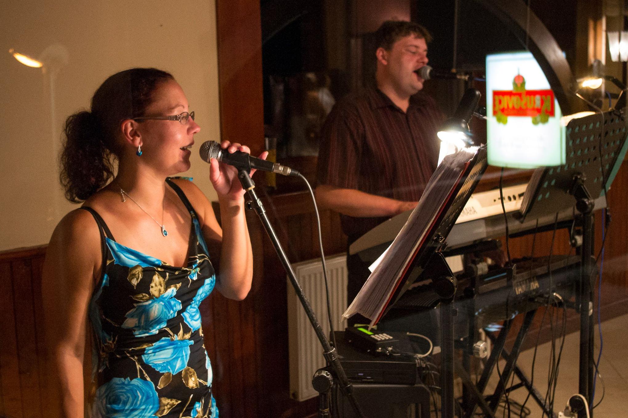 Hudební skupina Blíženci