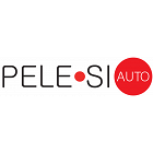 logo - PELE•SI AUTO, s.r.o.