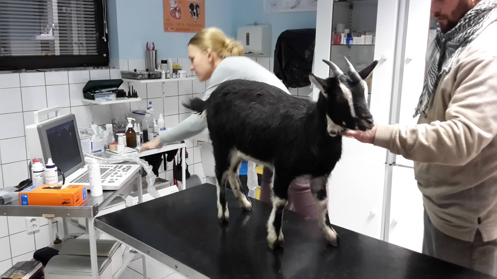 Veterinář - Radotín.cz - MVDr. Veronika Bejblová foto 2