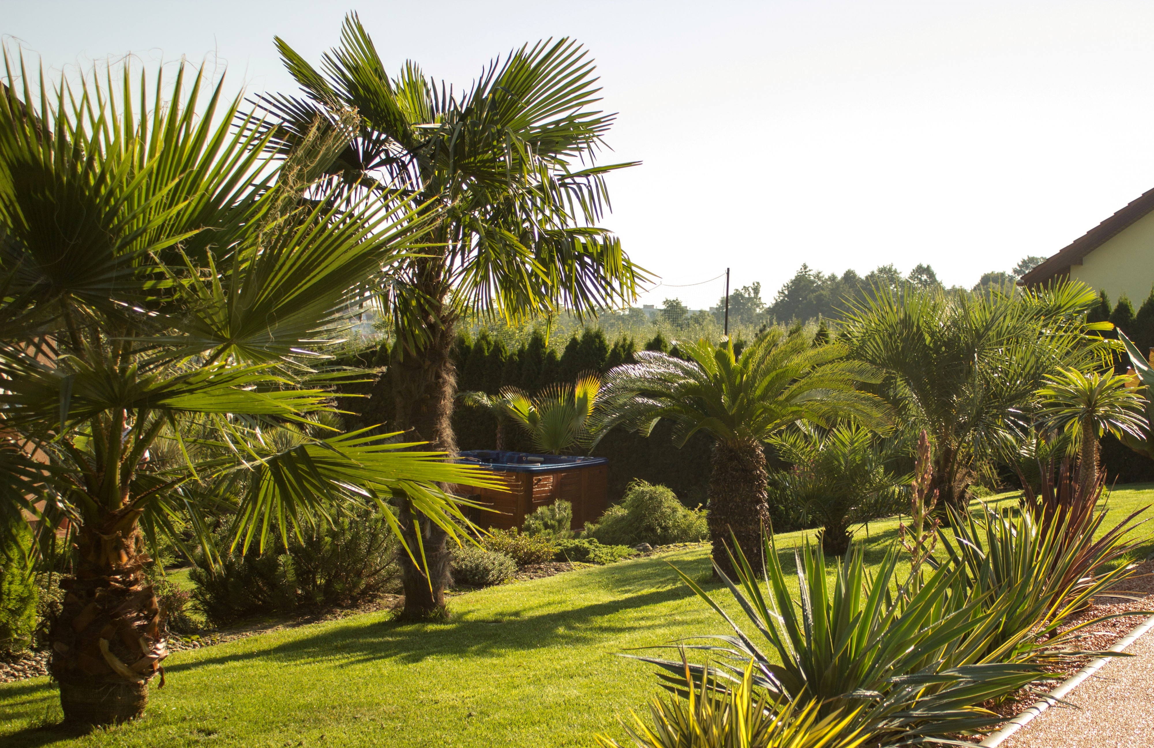 Palmy a Zahrady, s.r.o.